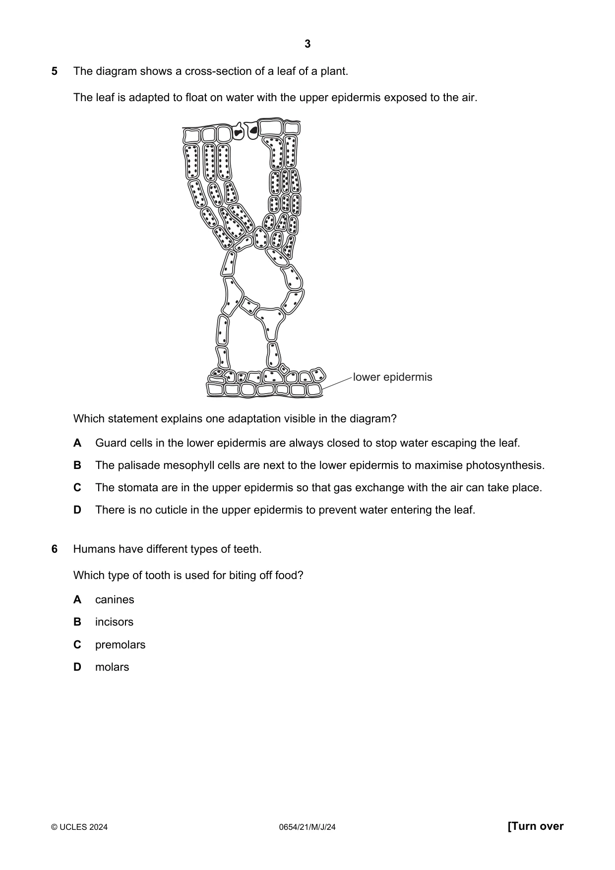 Cambridge IGCSE Sciences - Co-ordinated (Double) 0654 2024 May/June Paper 2 · Variant 1 question paper, page 3 of 16