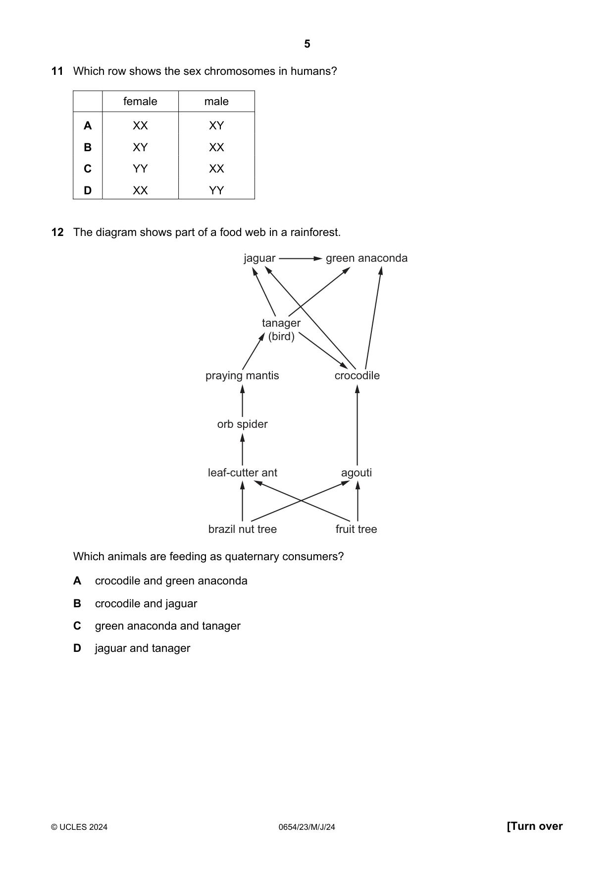Cambridge IGCSE Sciences - Co-ordinated (Double) 0654 2024 May/June Paper 2 · Variant 3 question paper, page 5 of 20
