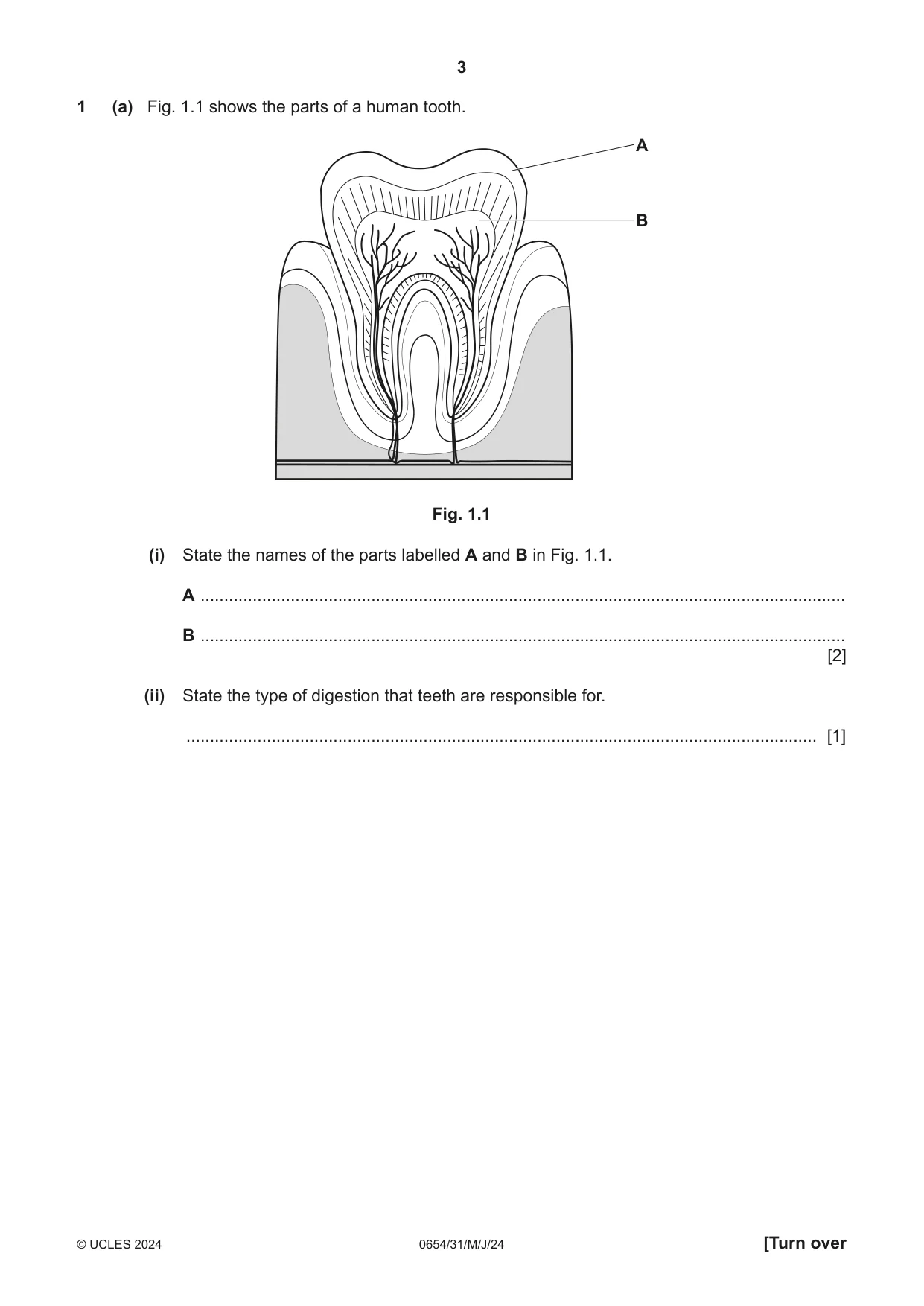 Cambridge IGCSE Sciences - Co-ordinated (Double) 0654 2024 May/June Paper 3 · Variant 1 question paper, page 3 of 28