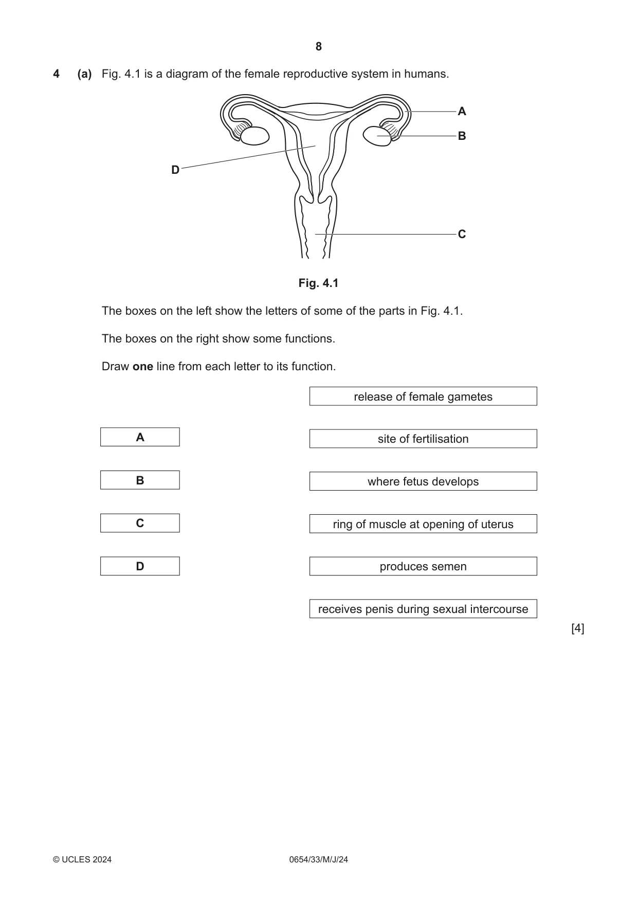 Cambridge IGCSE Sciences - Co-ordinated (Double) 0654 2024 May/June Paper 3 · Variant 3 question paper, page 8 of 32
