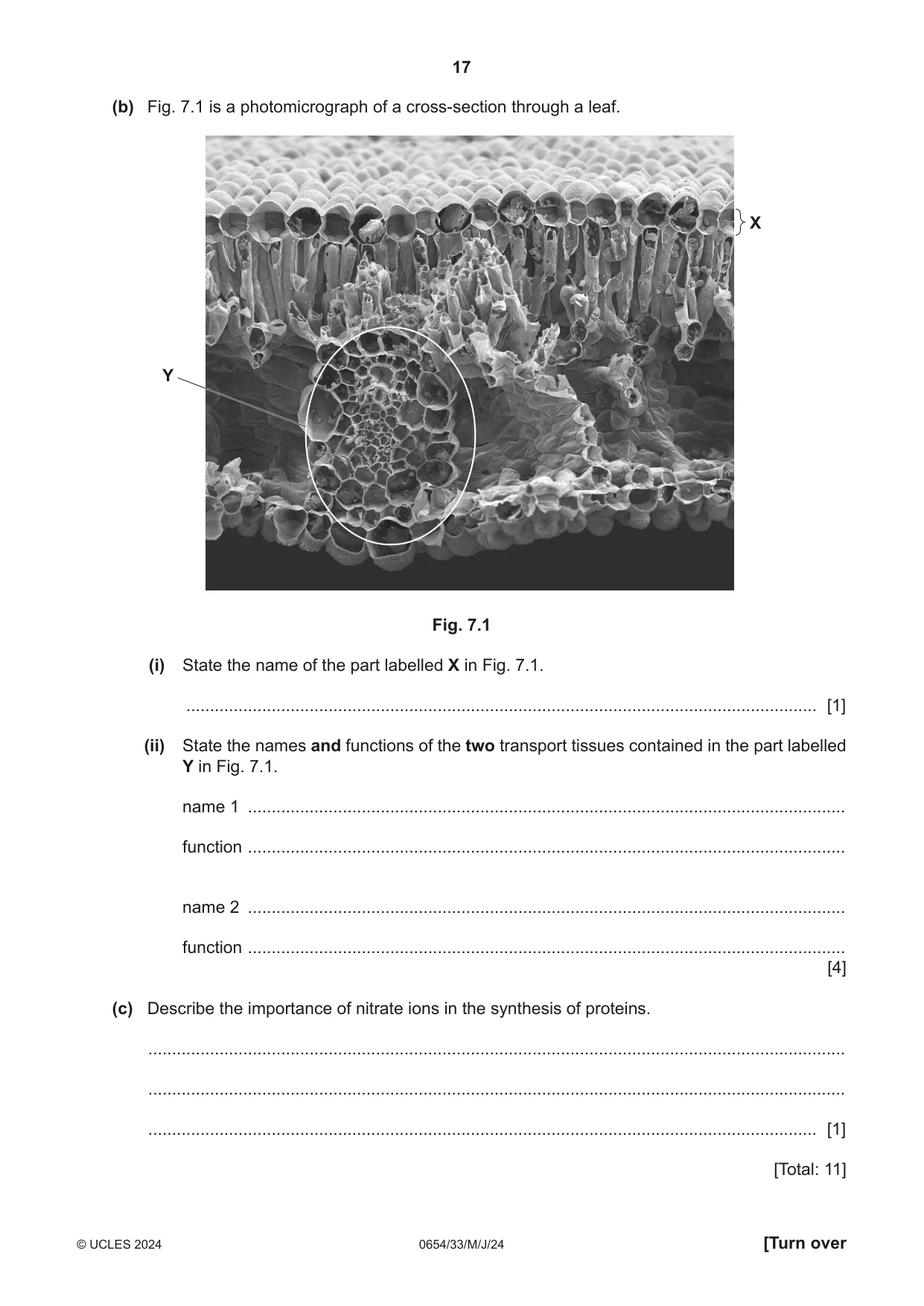 Cambridge IGCSE Sciences - Co-ordinated (Double) 0654 2024 May/June Paper 3 · Variant 3 question paper, page 17 of 32