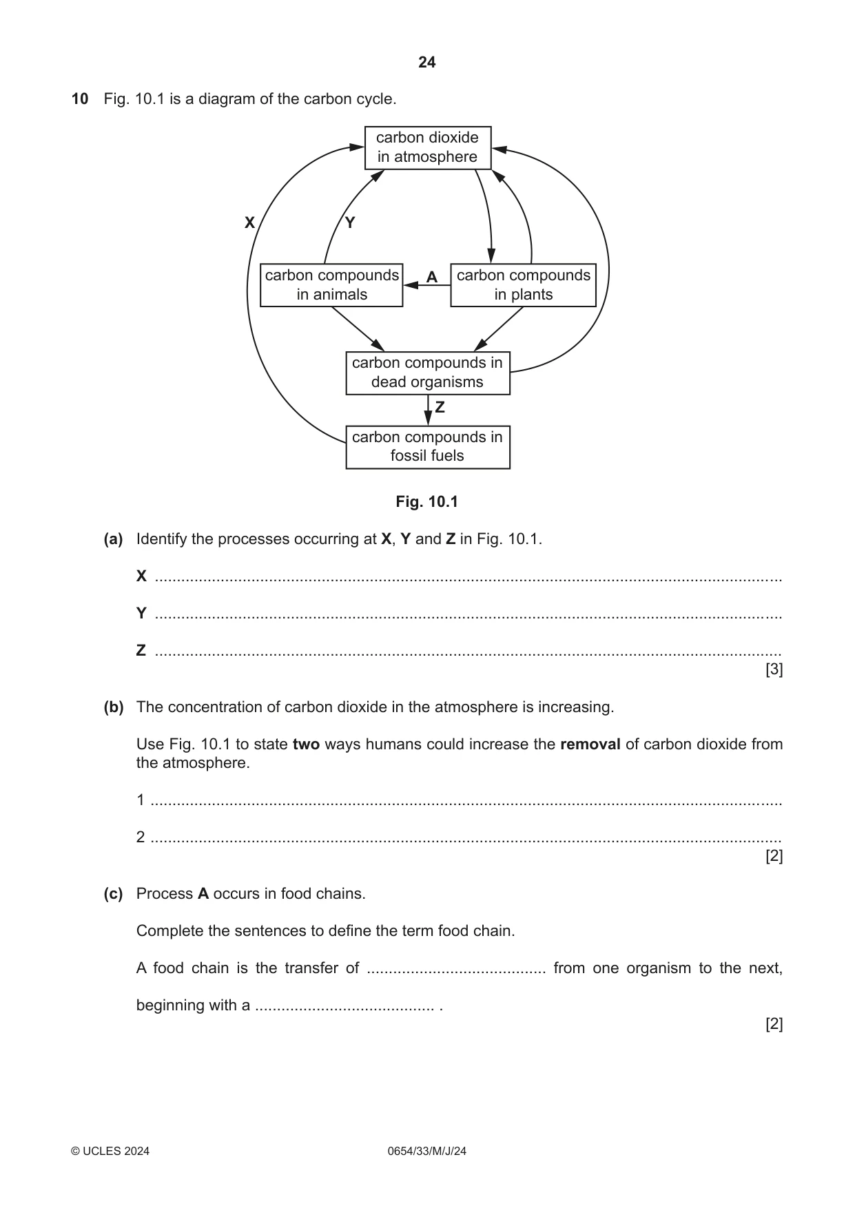 Cambridge IGCSE Sciences - Co-ordinated (Double) 0654 2024 May/June Paper 3 · Variant 3 question paper, page 24 of 32