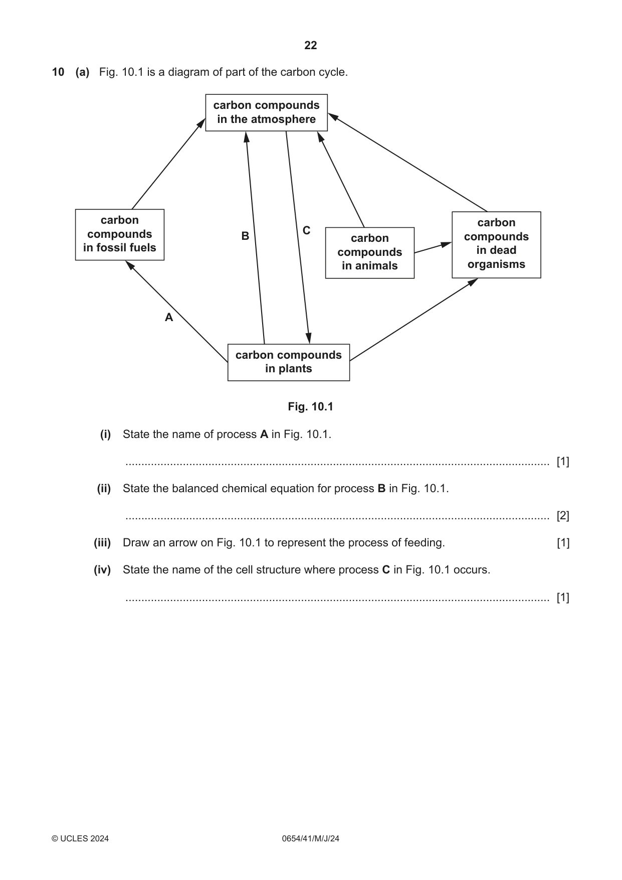 Cambridge IGCSE Sciences - Co-ordinated (Double) 0654 2024 May/June Paper 4 · Variant 1 question paper, page 22 of 28
