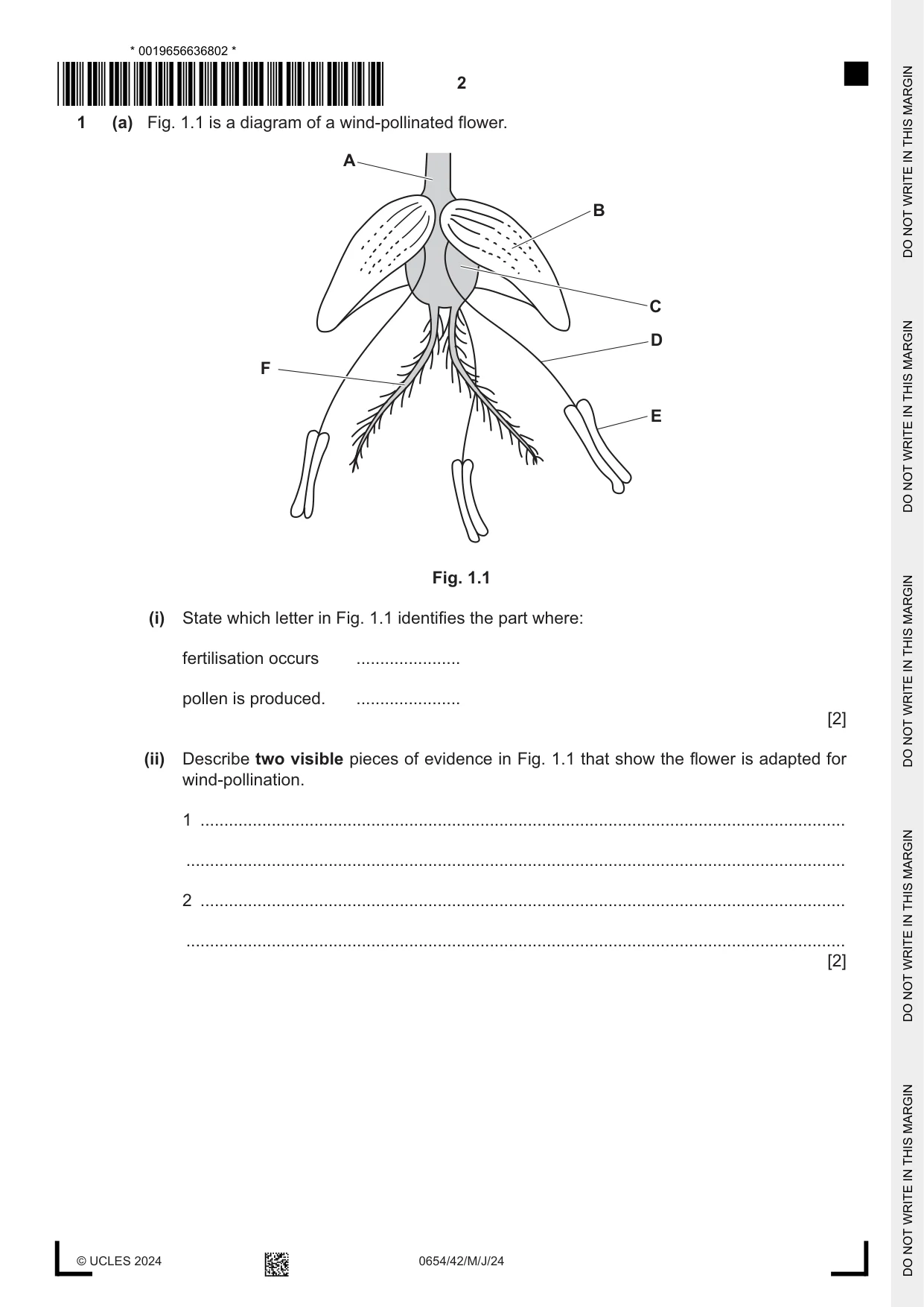 Cambridge IGCSE Sciences - Co-ordinated (Double) 0654 2024 May/June Paper 4 · Variant 2 question paper, page 2 of 28