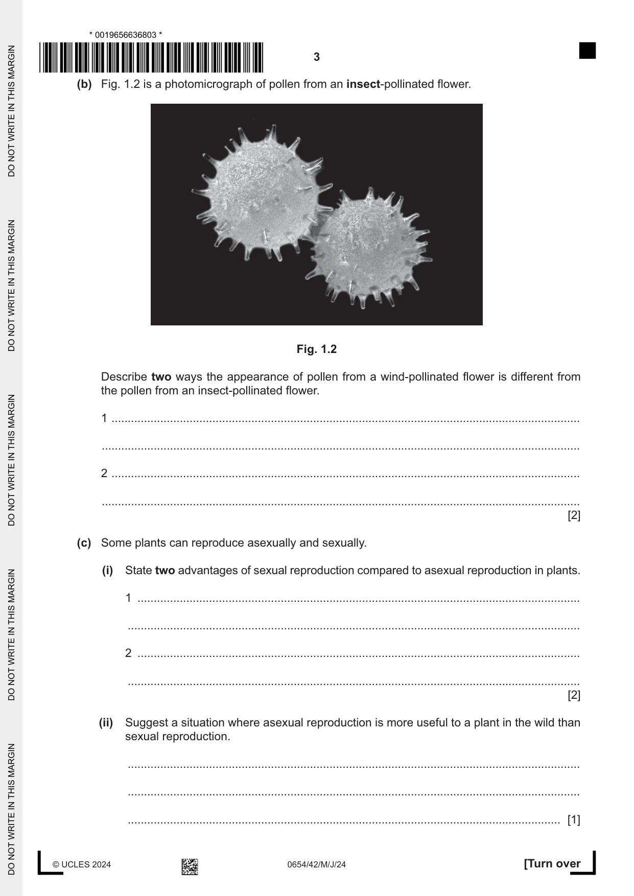 Cambridge IGCSE Sciences - Co-ordinated (Double) 0654 2024 May/June Paper 4 · Variant 2 question paper, page 3 of 28