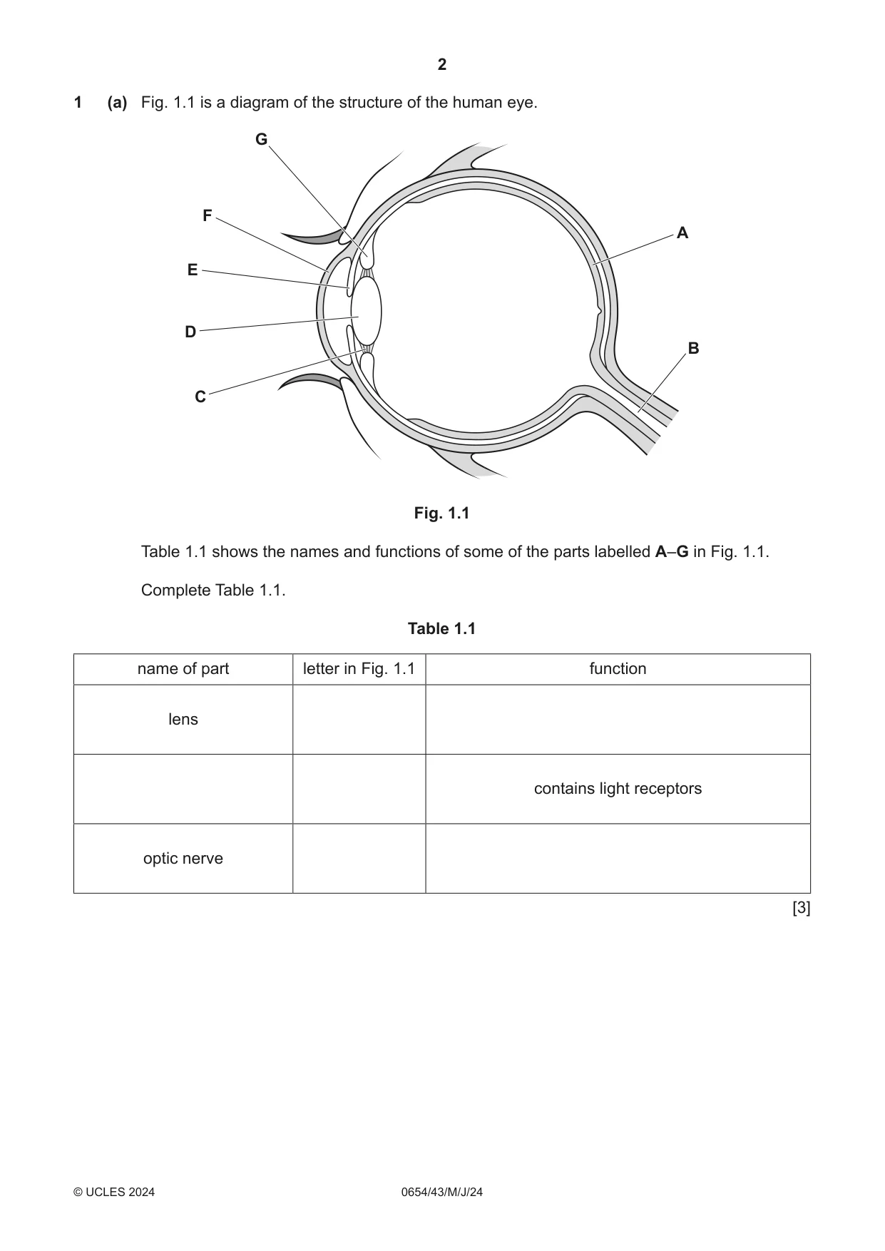 Cambridge IGCSE Sciences - Co-ordinated (Double) 0654 2024 May/June Paper 4 · Variant 3 question paper, page 2 of 28
