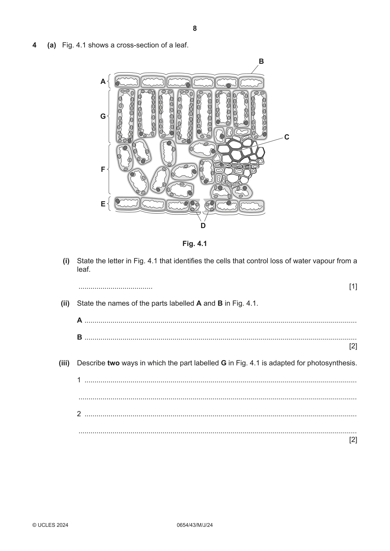 Cambridge IGCSE Sciences - Co-ordinated (Double) 0654 2024 May/June Paper 4 · Variant 3 question paper, page 8 of 28