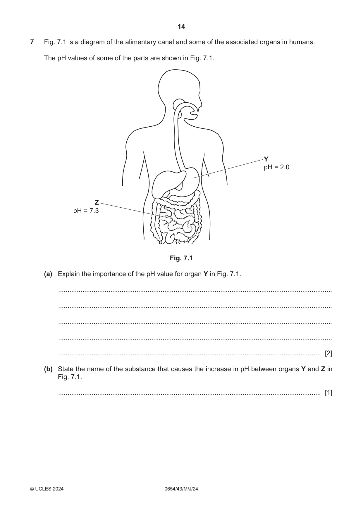 Cambridge IGCSE Sciences - Co-ordinated (Double) 0654 2024 May/June Paper 4 · Variant 3 question paper, page 14 of 28