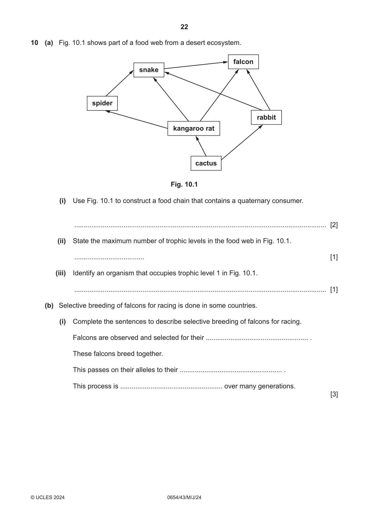 Cambridge IGCSE Sciences - Co-ordinated (Double) 0654 2024 May/June Paper 4 · Variant 3 question paper, page 22 of 28