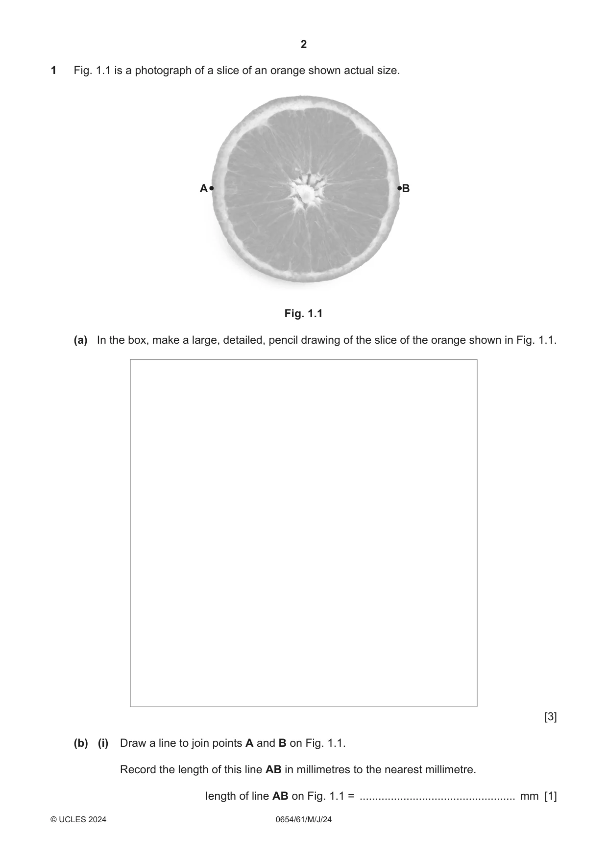 Cambridge IGCSE Sciences - Co-ordinated (Double) 0654 2024 May/June Paper 6 · Variant 1 question paper, page 2 of 20