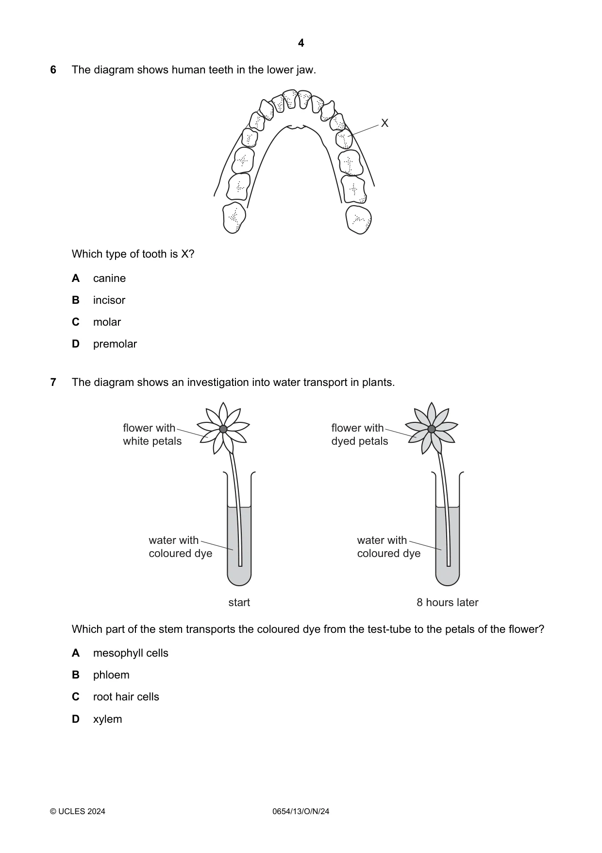 Cambridge IGCSE Sciences - Co-ordinated (Double) 0654 2024 Oct/Nov Paper 1 · Variant 3 question paper, page 4 of 20