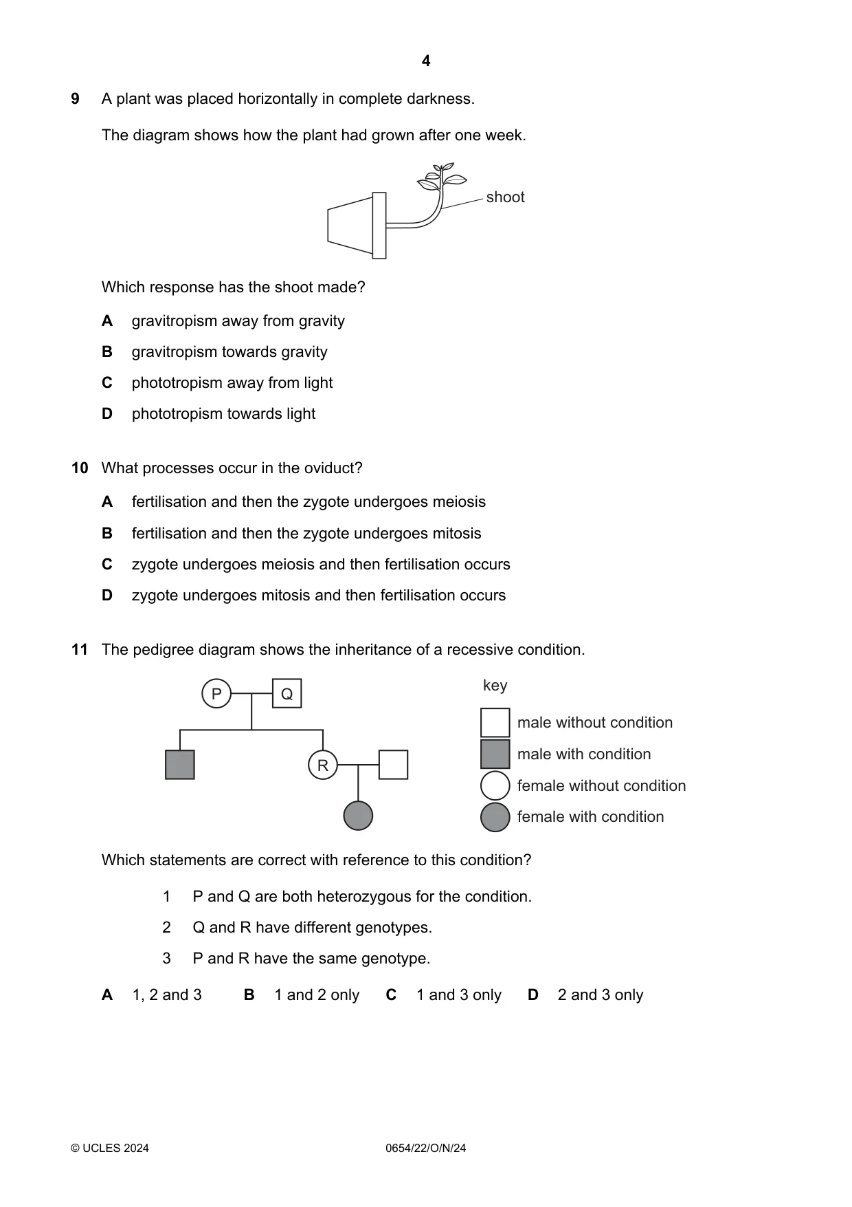 Cambridge IGCSE Sciences - Co-ordinated (Double) 0654 2024 Oct/Nov Paper 2 · Variant 2 question paper, page 4 of 16