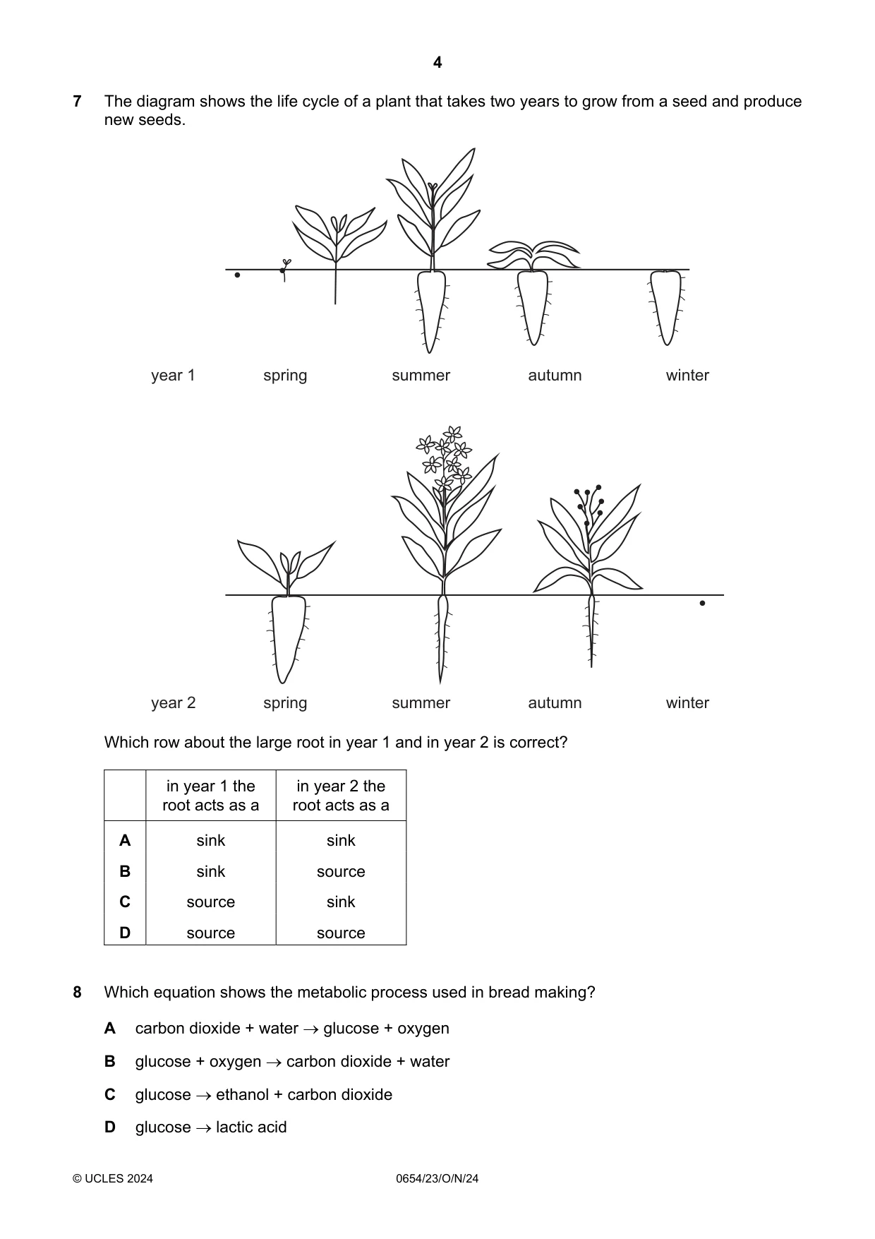 Cambridge IGCSE Sciences - Co-ordinated (Double) 0654 2024 Oct/Nov Paper 2 · Variant 3 question paper, page 4 of 20