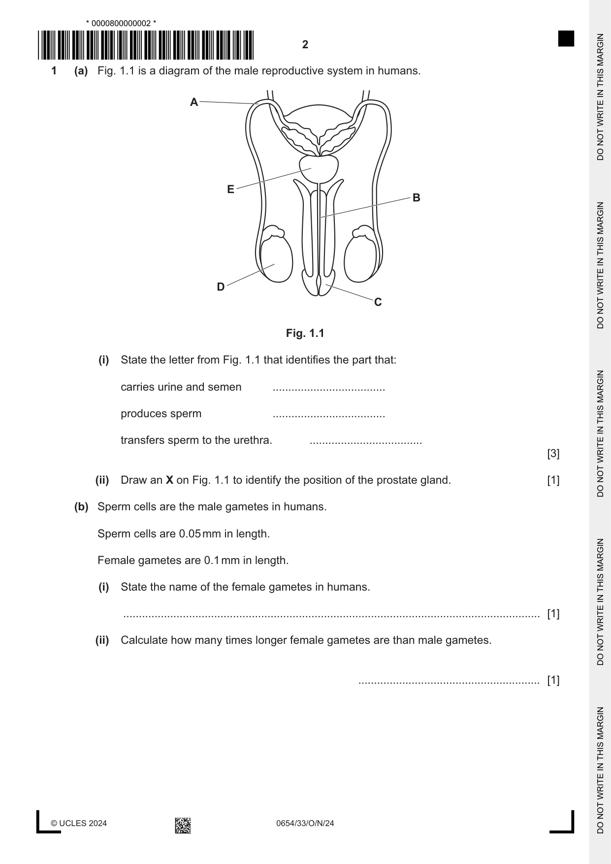 Cambridge IGCSE Sciences - Co-ordinated (Double) 0654 2024 Oct/Nov Paper 3 · Variant 3 question paper, page 2 of 28