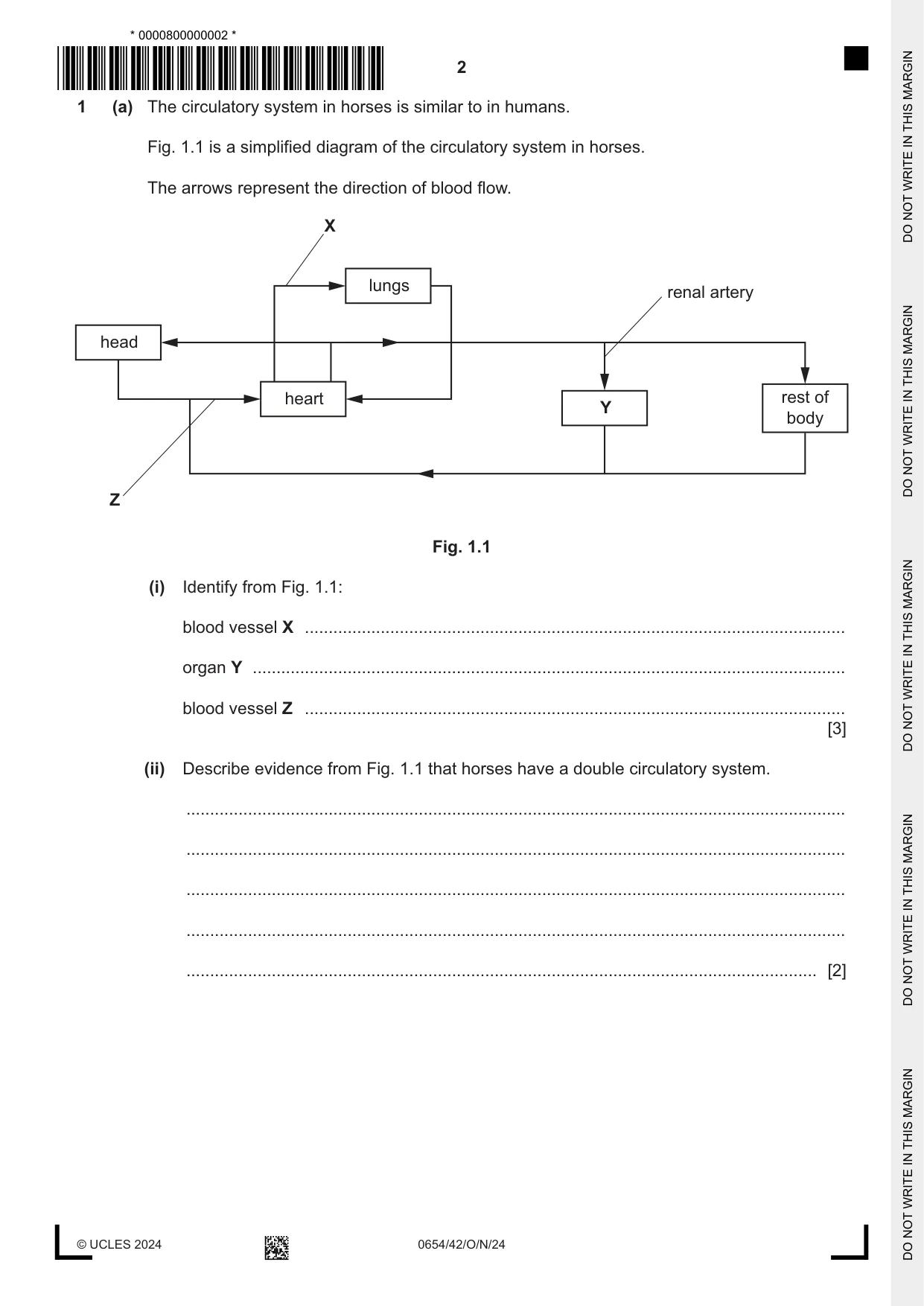 Cambridge IGCSE Sciences - Co-ordinated (Double) 0654 2024 Oct/Nov Paper 4 · Variant 2 question paper, page 2 of 24