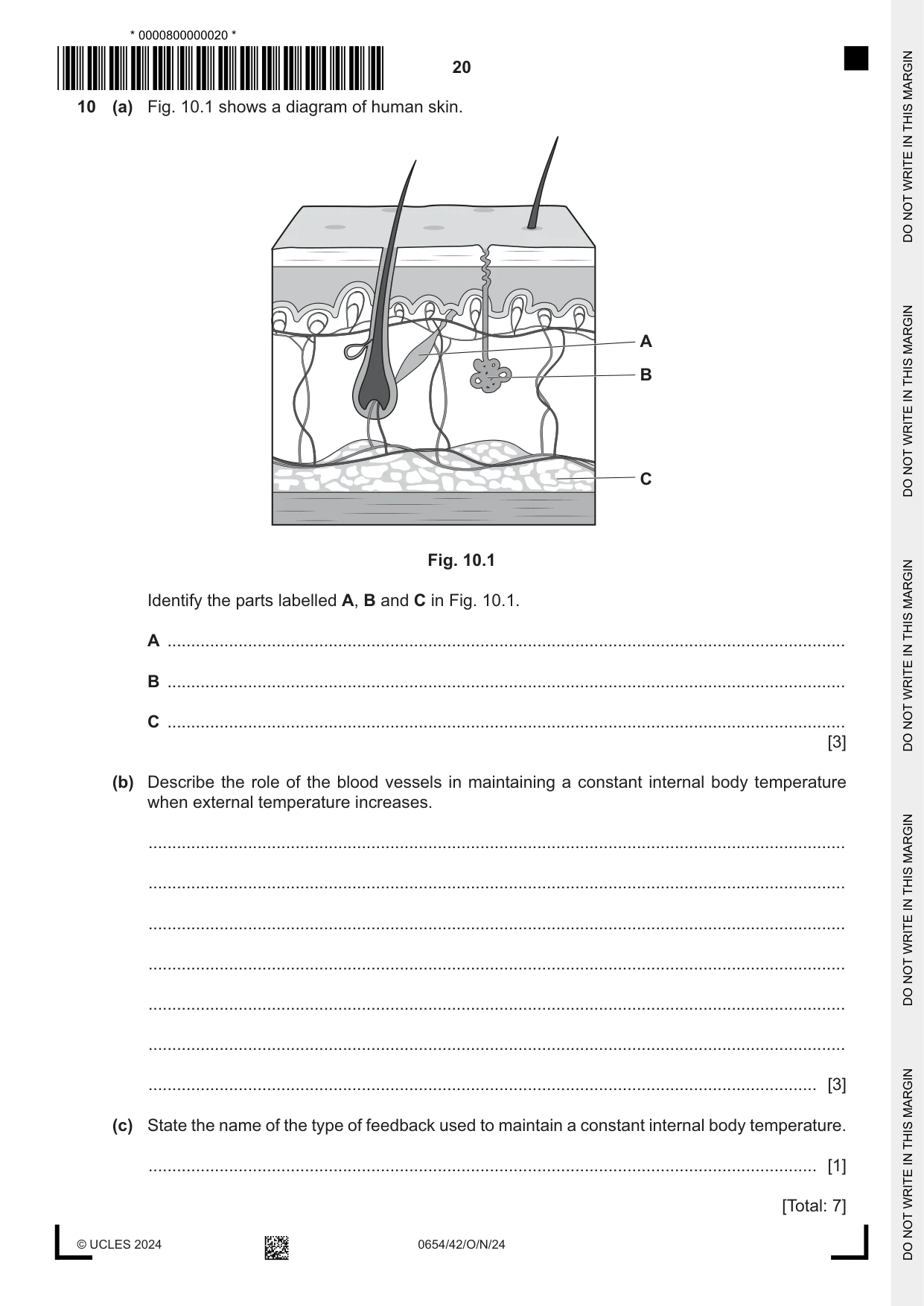 Cambridge IGCSE Sciences - Co-ordinated (Double) 0654 2024 Oct/Nov Paper 4 · Variant 2 question paper, page 20 of 24