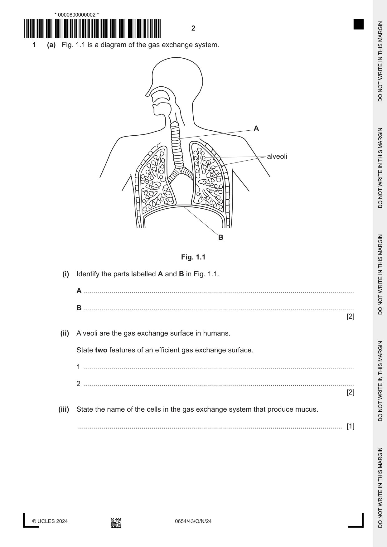 Cambridge IGCSE Sciences - Co-ordinated (Double) 0654 2024 Oct/Nov Paper 4 · Variant 3 question paper, page 2 of 32