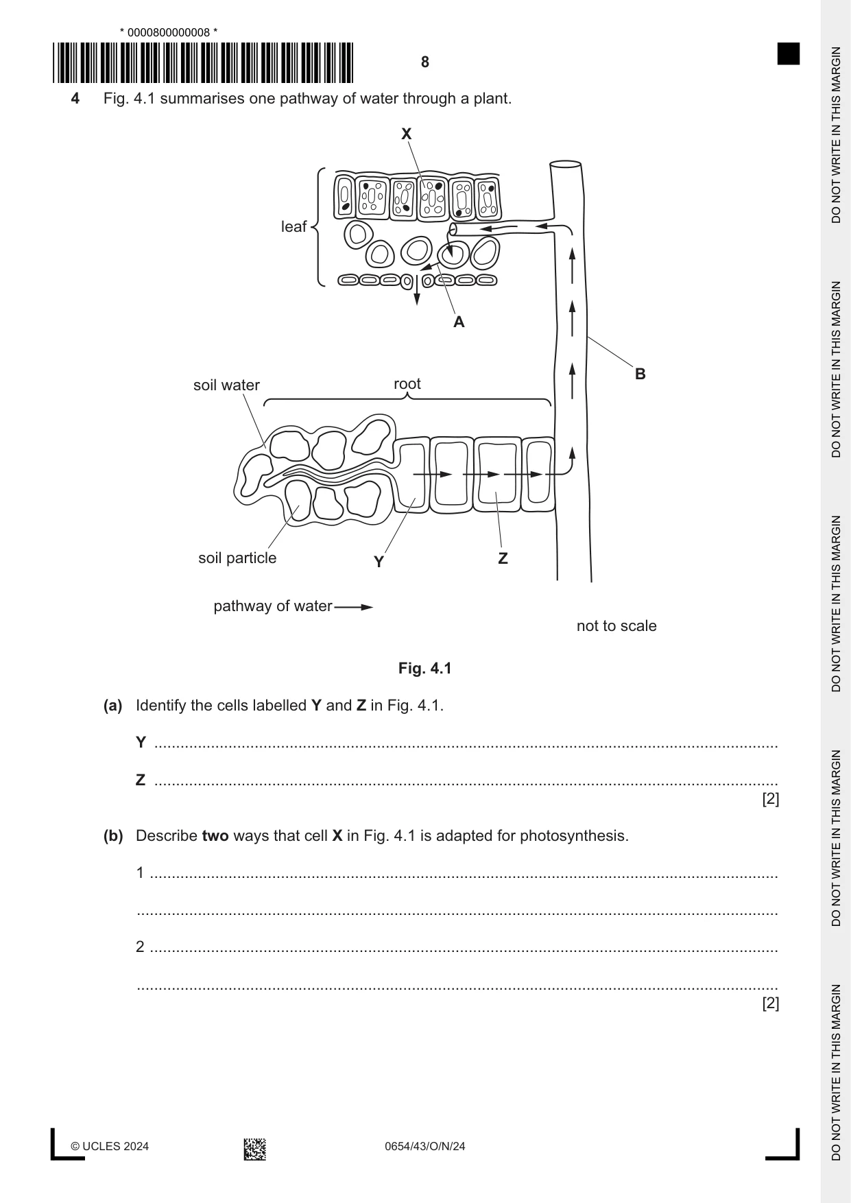 Cambridge IGCSE Sciences - Co-ordinated (Double) 0654 2024 Oct/Nov Paper 4 · Variant 3 question paper, page 8 of 32