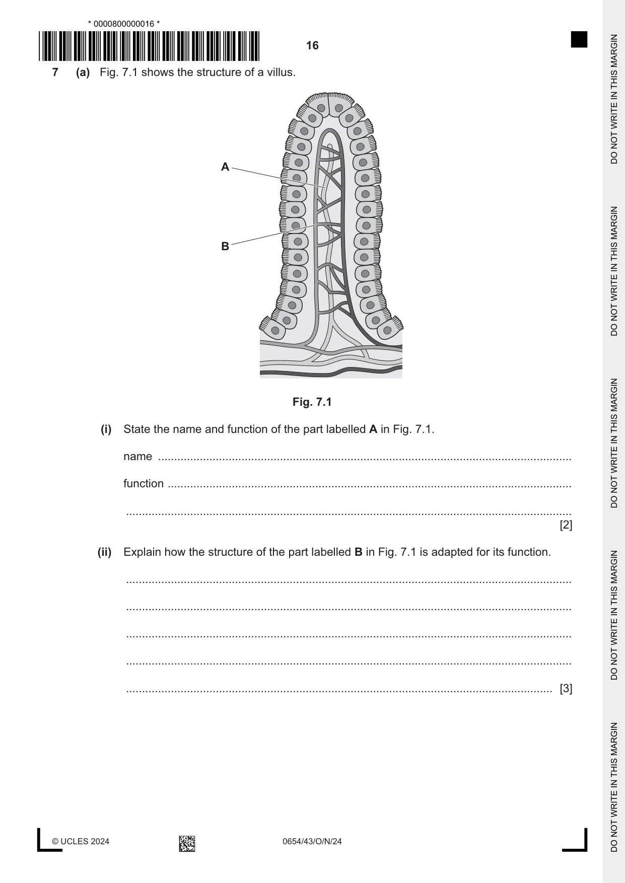 Cambridge IGCSE Sciences - Co-ordinated (Double) 0654 2024 Oct/Nov Paper 4 · Variant 3 question paper, page 16 of 32