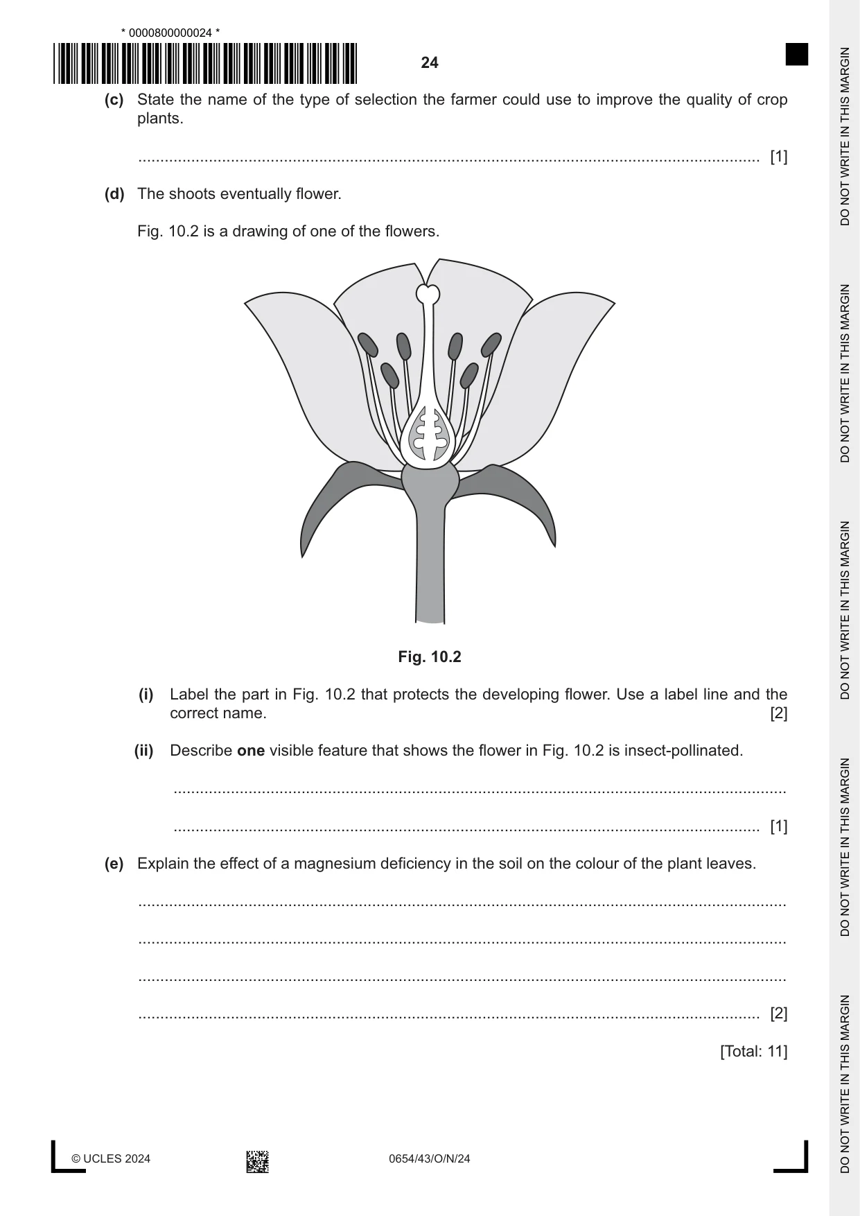 Cambridge IGCSE Sciences - Co-ordinated (Double) 0654 2024 Oct/Nov Paper 4 · Variant 3 question paper, page 24 of 32
