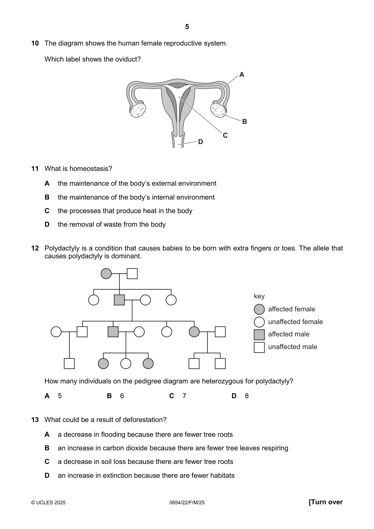 Cambridge IGCSE Sciences - Co-ordinated (Double) 0654 2025 Feb/March Paper 2 · Variant 2 question paper, page 5 of 16