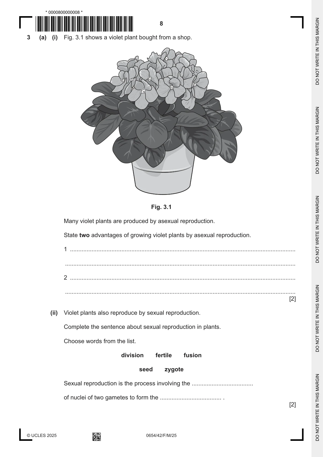 Cambridge IGCSE Sciences - Co-ordinated (Double) 0654 2025 Feb/March Paper 4 · Variant 2 question paper, page 8 of 28