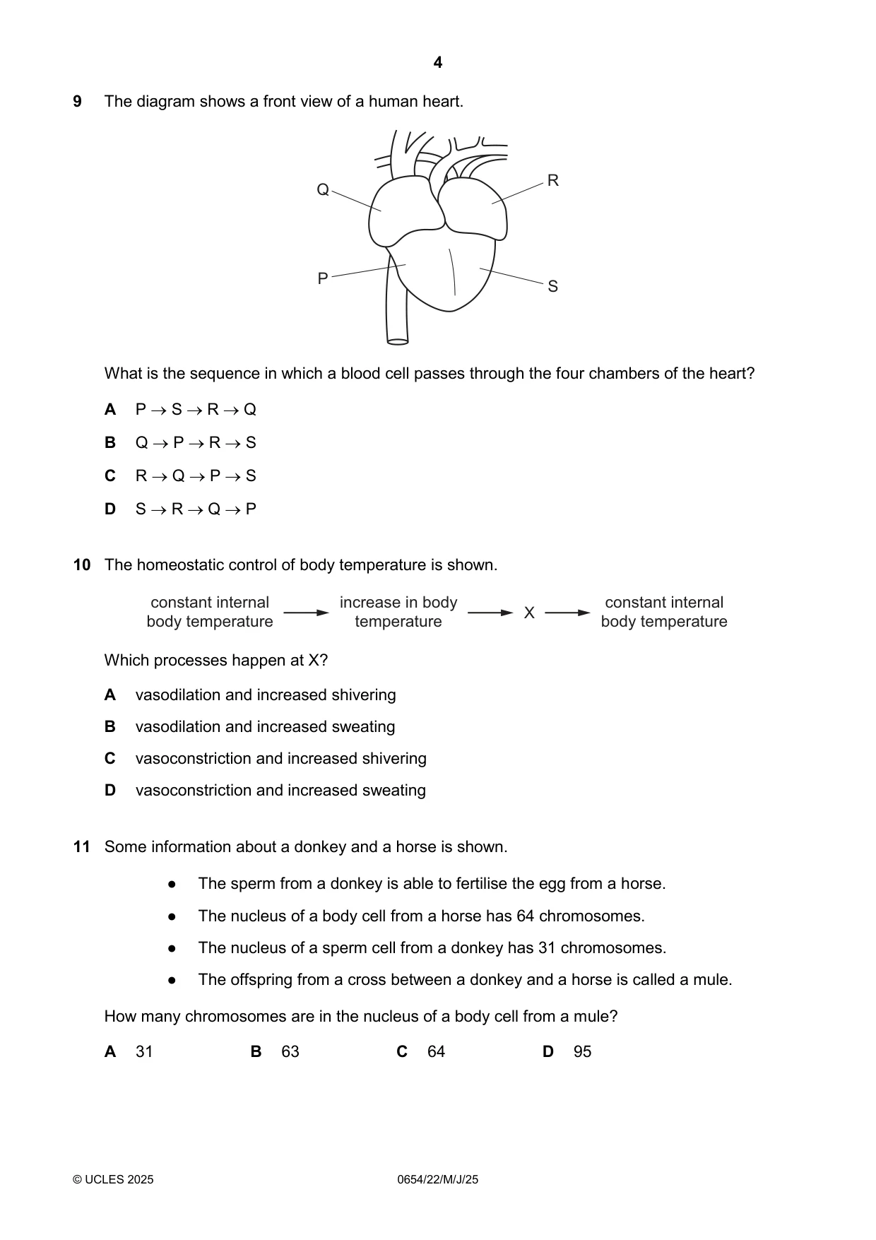 Cambridge IGCSE Sciences - Co-ordinated (Double) 0654 2025 May/June Paper 2 · Variant 2 question paper, page 4 of 16