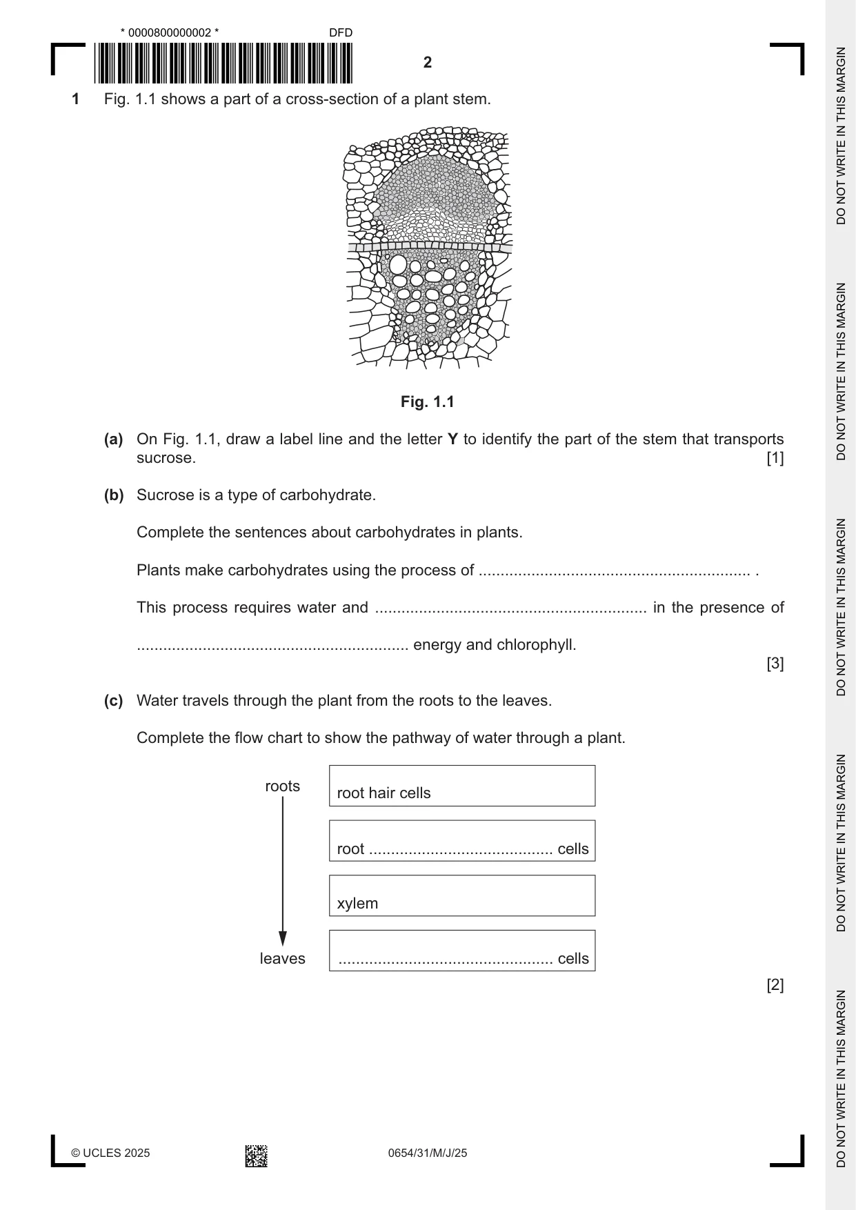 Cambridge IGCSE Sciences - Co-ordinated (Double) 0654 2025 May/June Paper 3 · Variant 1 question paper, page 2 of 28