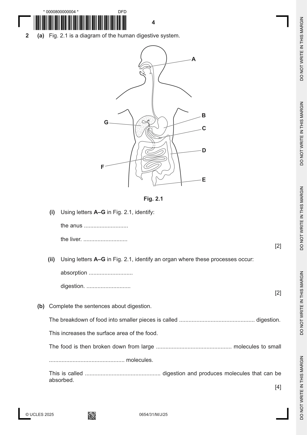 Cambridge IGCSE Sciences - Co-ordinated (Double) 0654 2025 May/June Paper 3 · Variant 1 question paper, page 4 of 28