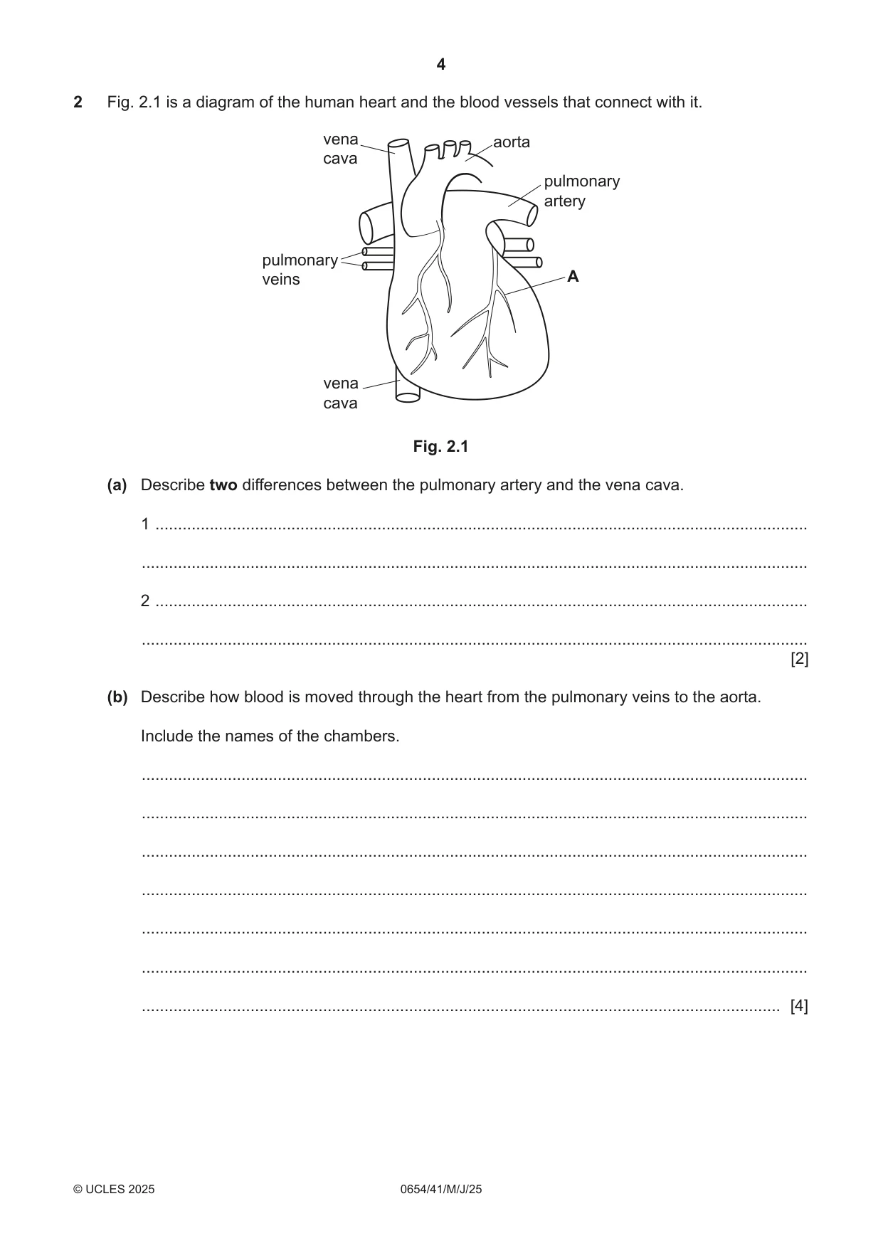 Cambridge IGCSE Sciences - Co-ordinated (Double) 0654 2025 May/June Paper 4 · Variant 1 question paper, page 4 of 32