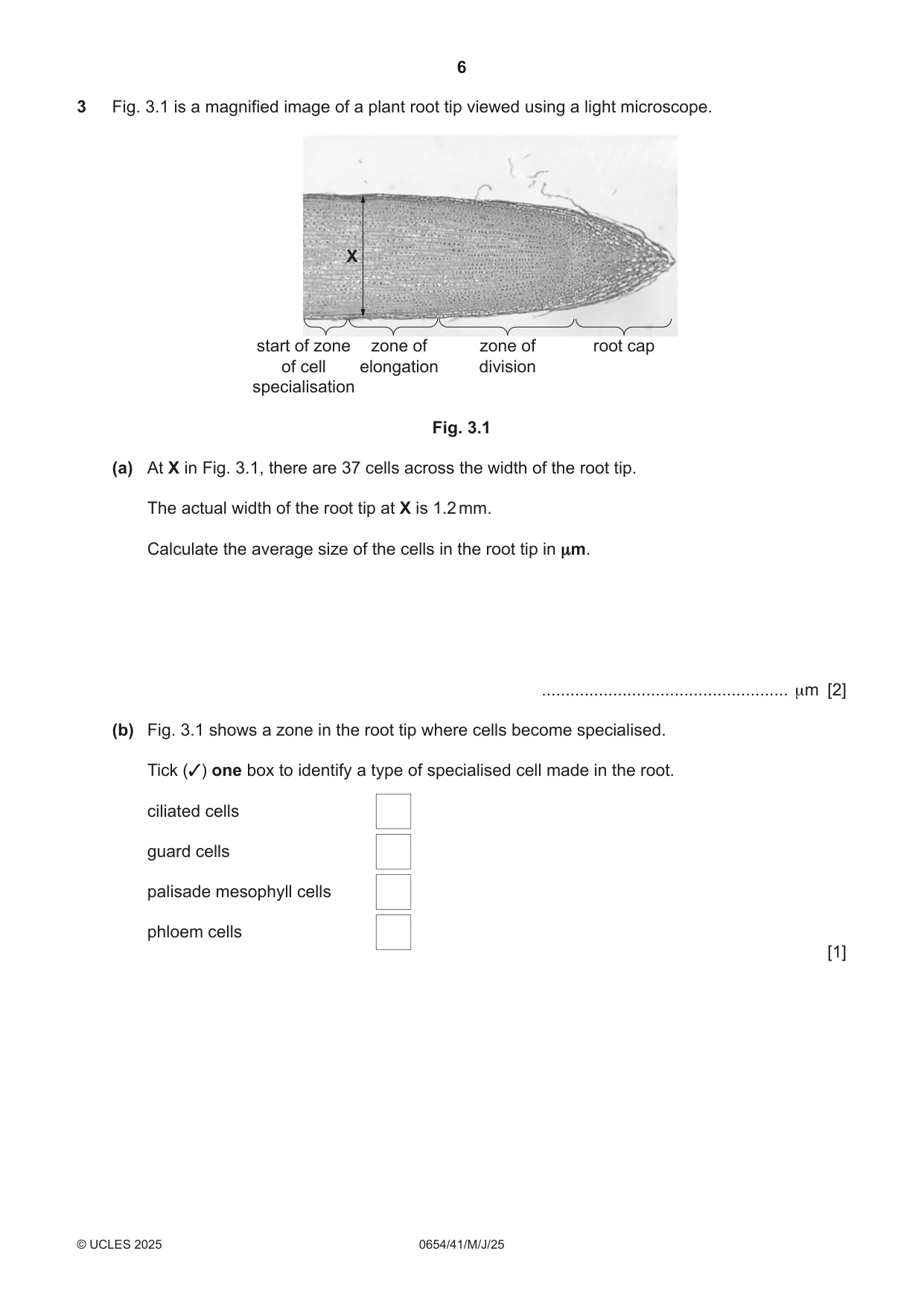 Cambridge IGCSE Sciences - Co-ordinated (Double) 0654 2025 May/June Paper 4 · Variant 1 question paper, page 6 of 32