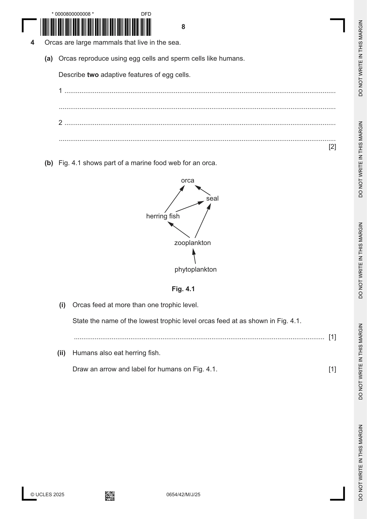 Cambridge IGCSE Sciences - Co-ordinated (Double) 0654 2025 May/June Paper 4 · Variant 2 question paper, page 8 of 28