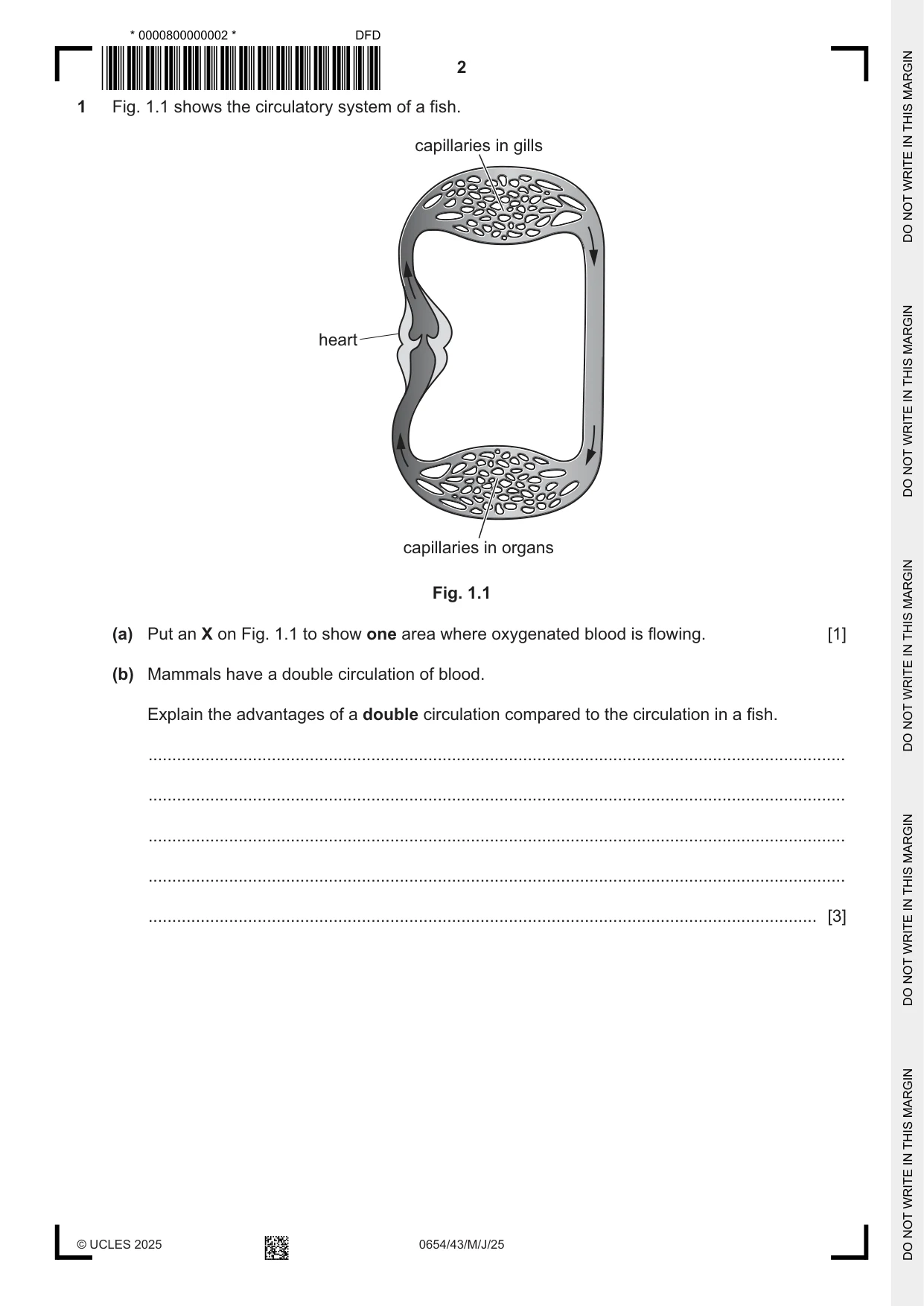 Cambridge IGCSE Sciences - Co-ordinated (Double) 0654 2025 May/June Paper 4 · Variant 3 question paper, page 2 of 28