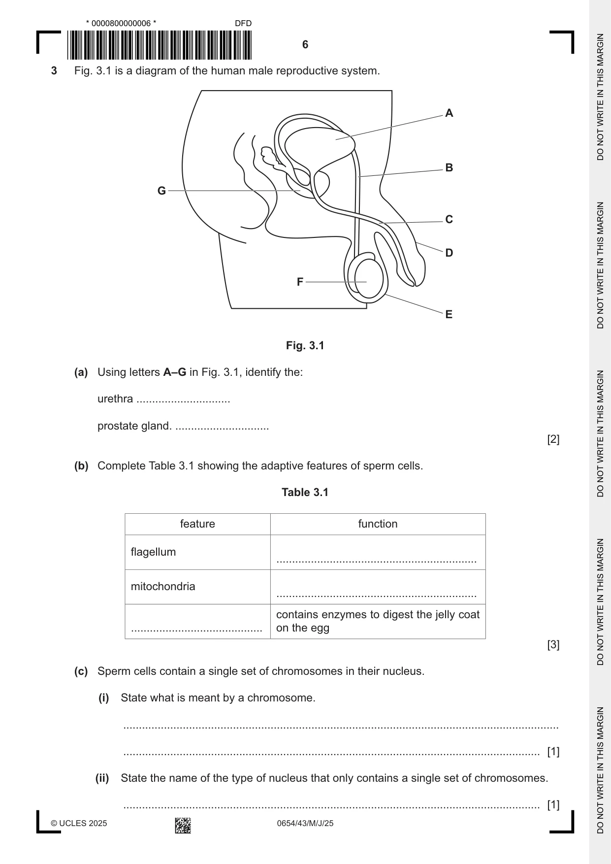 Cambridge IGCSE Sciences - Co-ordinated (Double) 0654 2025 May/June Paper 4 · Variant 3 question paper, page 6 of 28