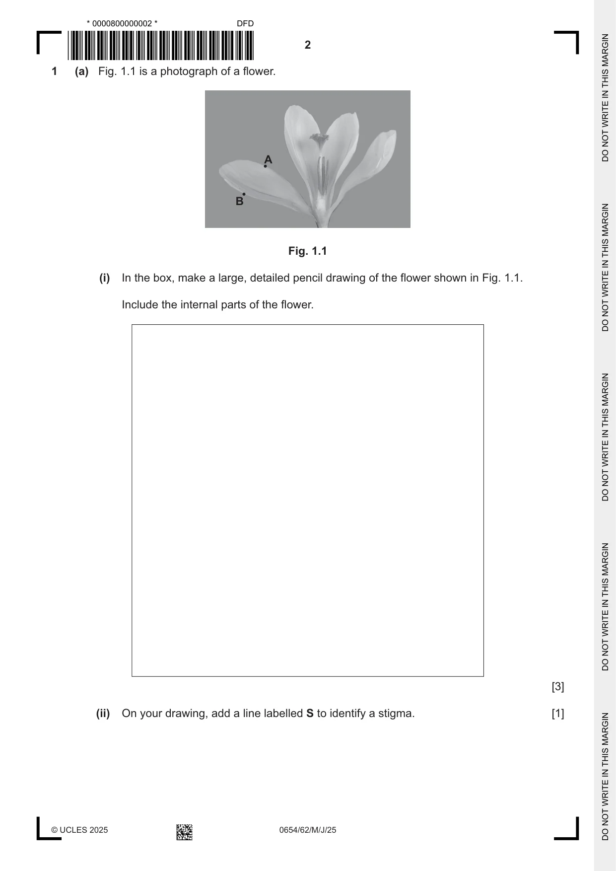 Cambridge IGCSE Sciences - Co-ordinated (Double) 0654 2025 May/June Paper 6 · Variant 2 question paper, page 2 of 20