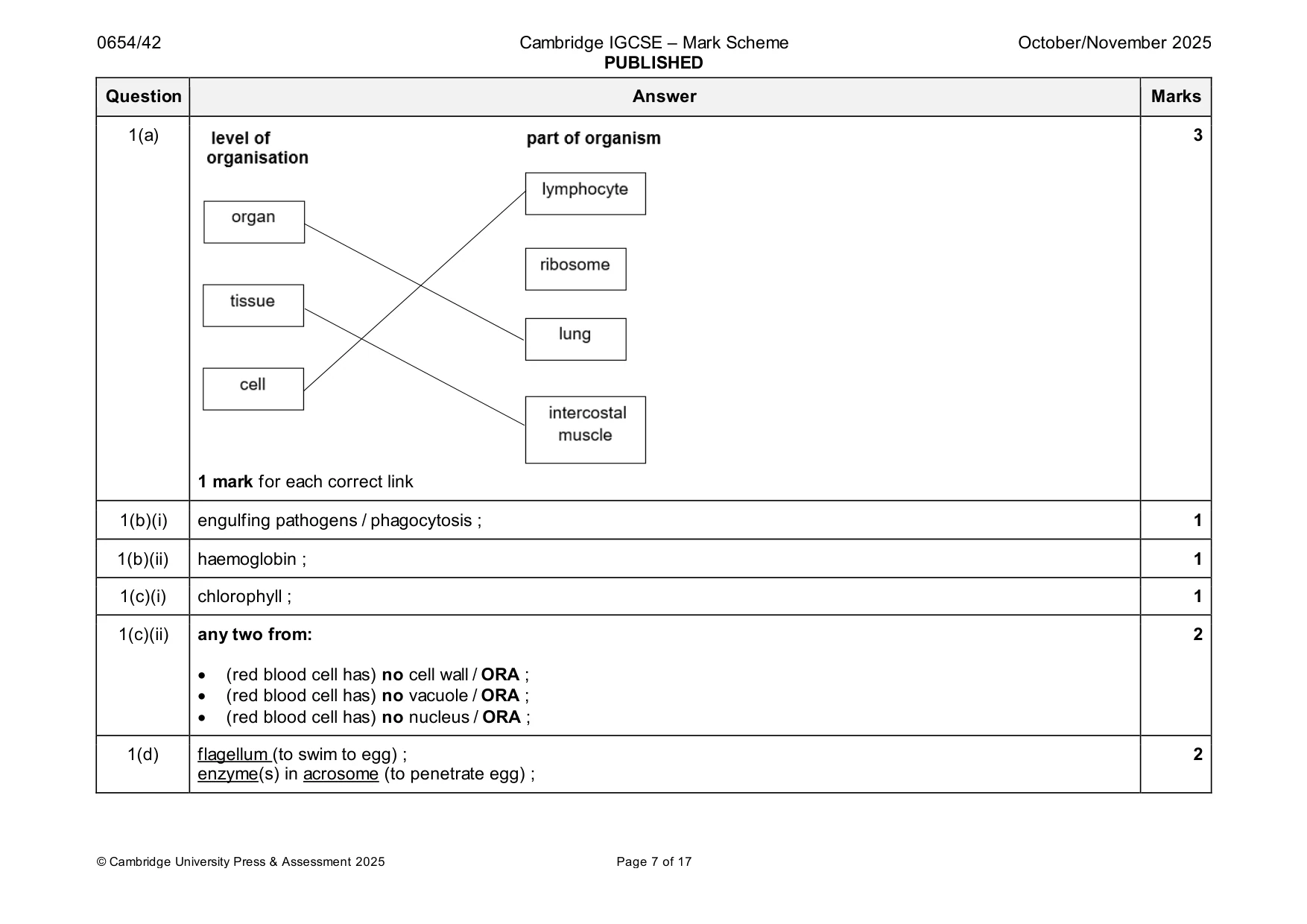 Mark scheme, page 7 of 17