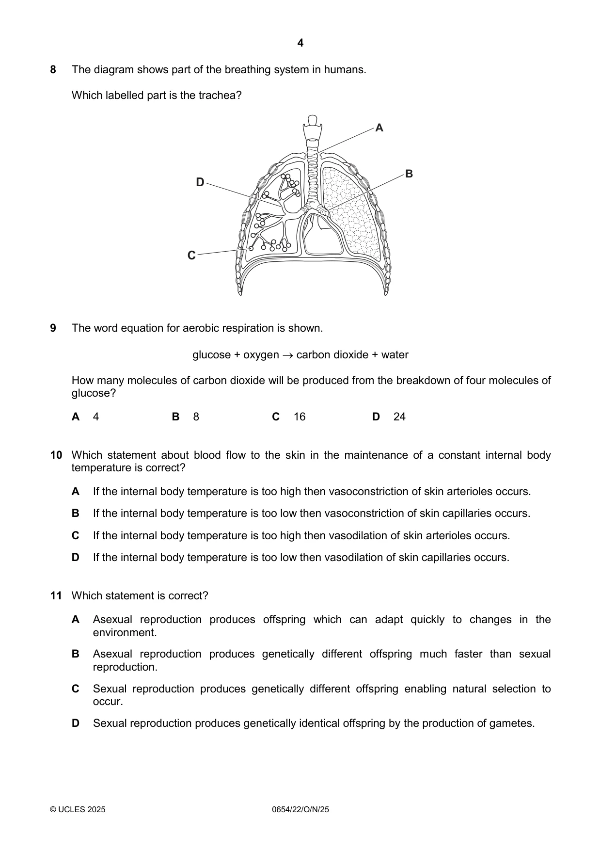 Cambridge IGCSE Sciences - Co-ordinated (Double) 0654 2025 Oct/Nov Paper 2 · Variant 2 question paper, page 4 of 16