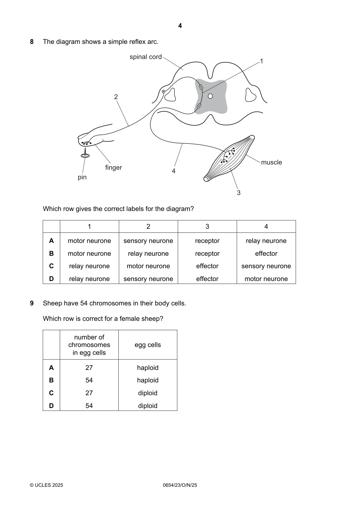 Cambridge IGCSE Sciences - Co-ordinated (Double) 0654 2025 Oct/Nov Paper 2 · Variant 3 question paper, page 4 of 16