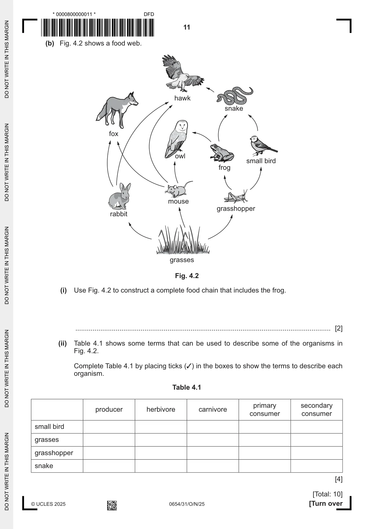 Cambridge IGCSE Sciences - Co-ordinated (Double) 0654 2025 Oct/Nov Paper 3 · Variant 1 question paper, page 11 of 32