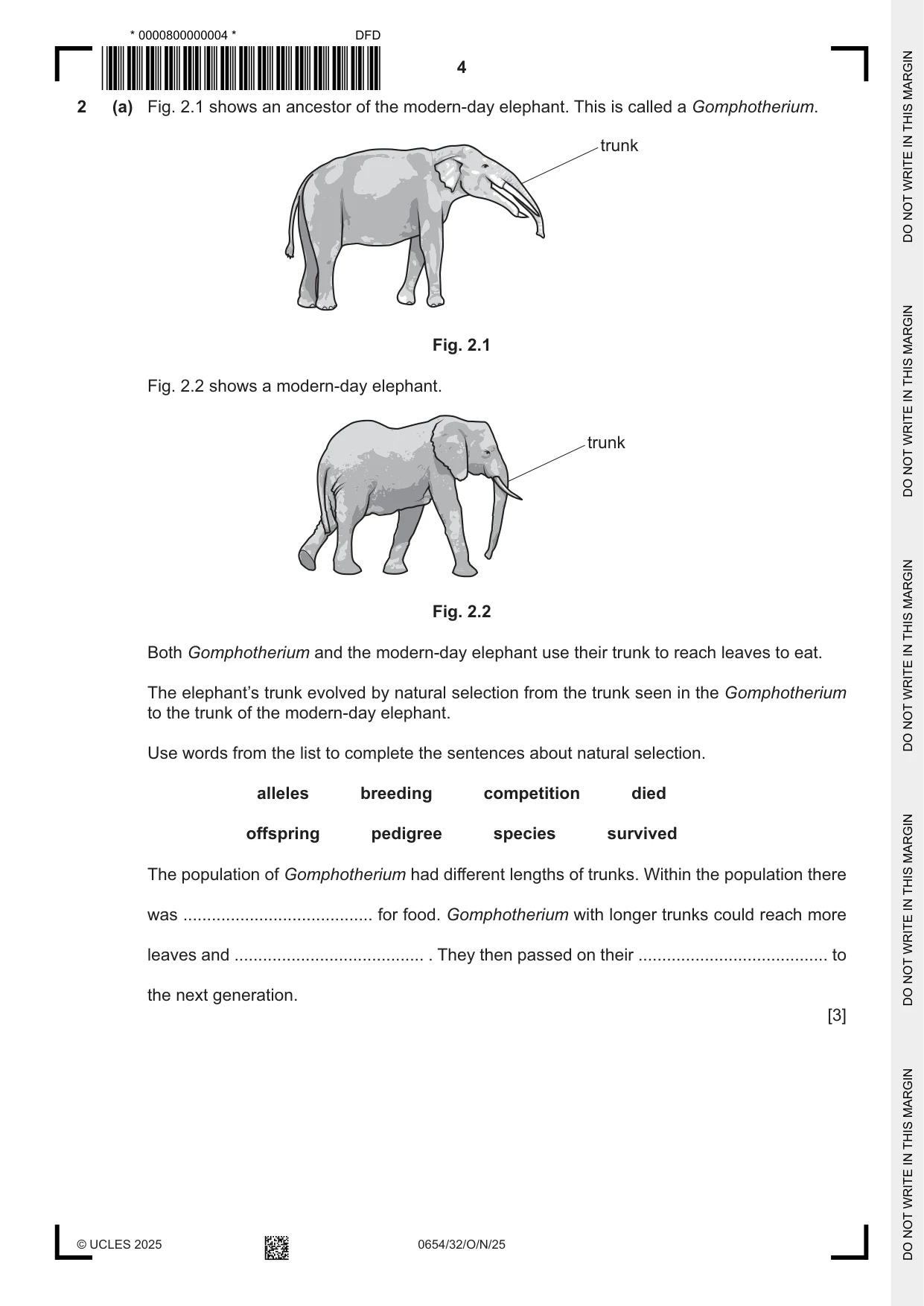 Cambridge IGCSE Sciences - Co-ordinated (Double) 0654 2025 Oct/Nov Paper 3 · Variant 2 question paper, page 4 of 28
