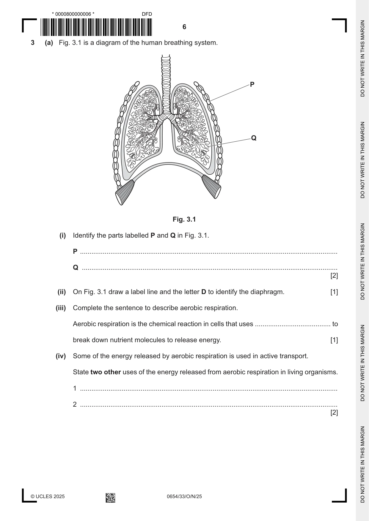 Cambridge IGCSE Sciences - Co-ordinated (Double) 0654 2025 Oct/Nov Paper 3 · Variant 3 question paper, page 6 of 28