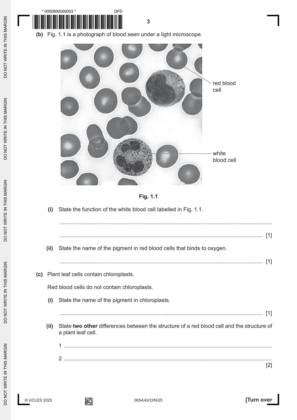 Cambridge IGCSE Sciences - Co-ordinated (Double) 0654 2025 Oct/Nov Paper 4 · Variant 2 question paper, page 3 of 32