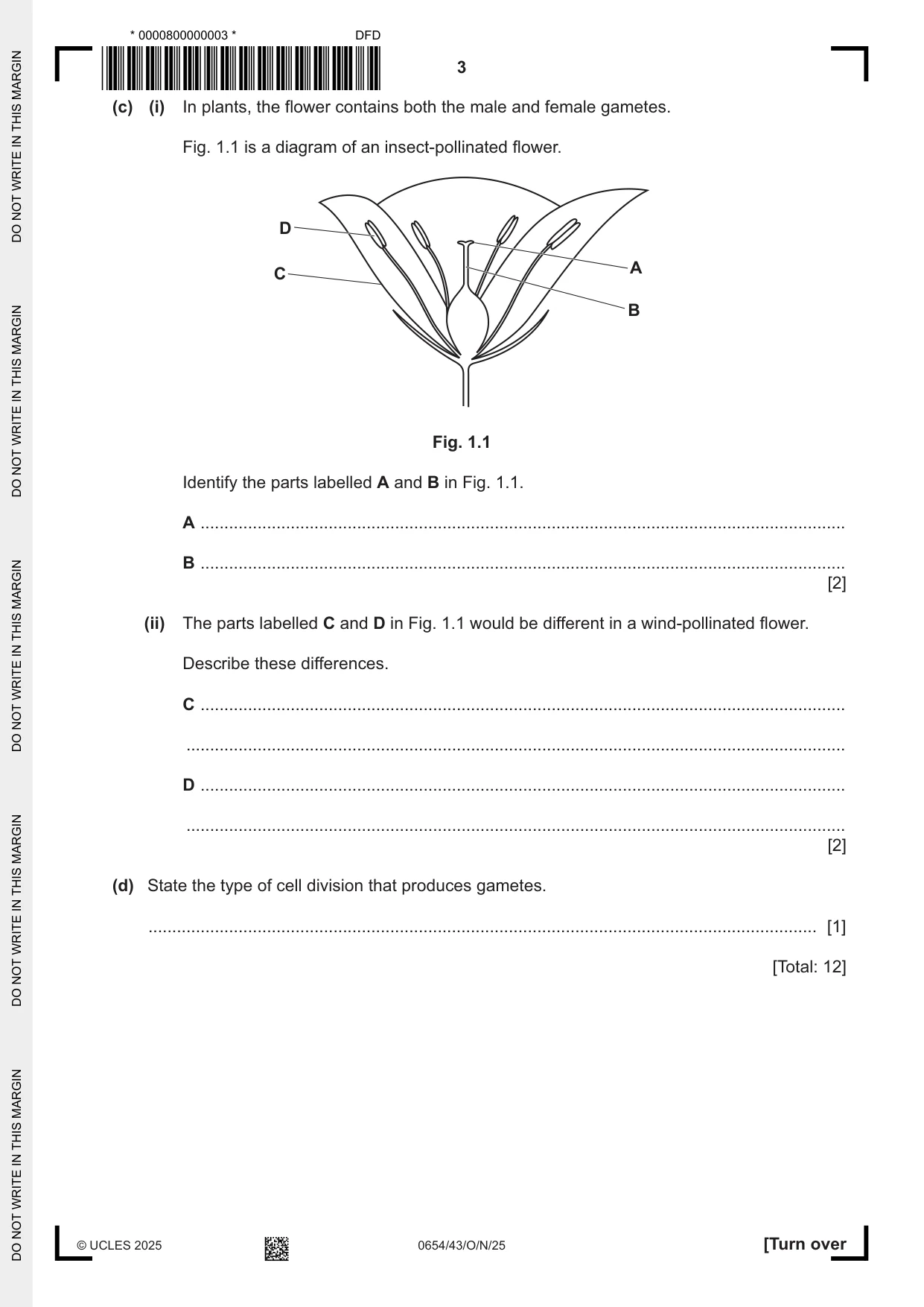 Cambridge IGCSE Sciences - Co-ordinated (Double) 0654 2025 Oct/Nov Paper 4 · Variant 3 question paper, page 3 of 28