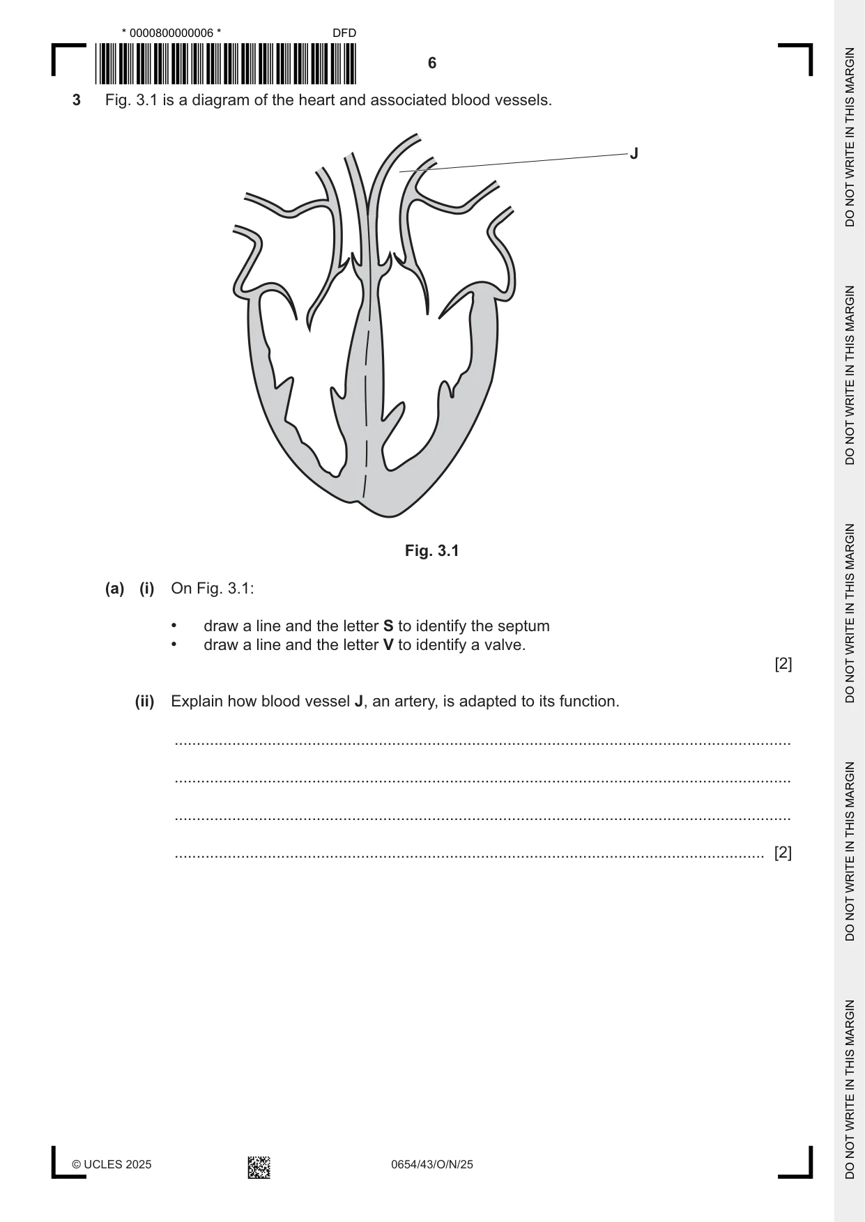 Cambridge IGCSE Sciences - Co-ordinated (Double) 0654 2025 Oct/Nov Paper 4 · Variant 3 question paper, page 6 of 28