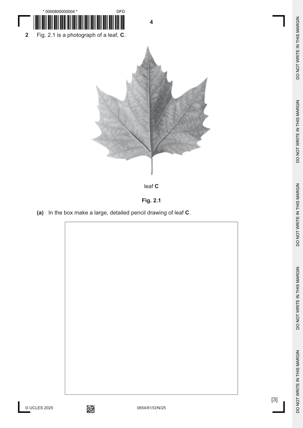 Cambridge IGCSE Sciences - Co-ordinated (Double) 0654 2025 Oct/Nov Paper 6 · Variant 1 question paper, page 4 of 20