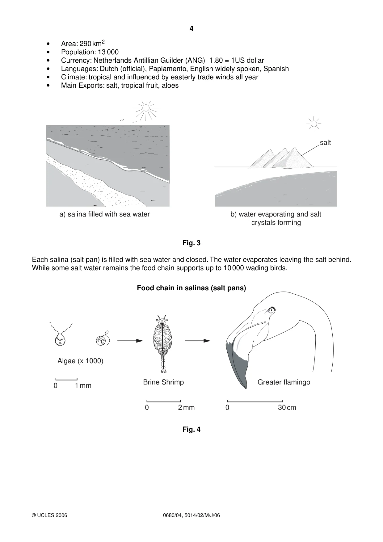 Cambridge IGCSE Environmental Management 0680 2006 May/June Paper 4 · Variant 1 question paper, page 4 of 20