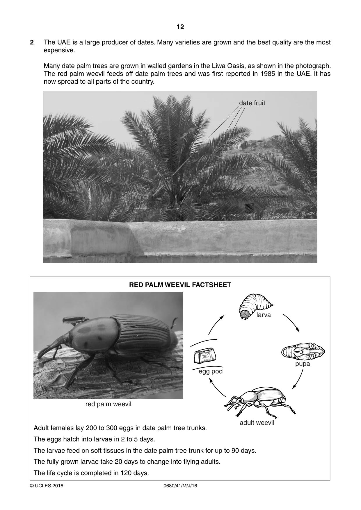 Cambridge IGCSE Environmental Management 0680 2016 May/June Paper 4 · Variant 1 question paper, page 12 of 20