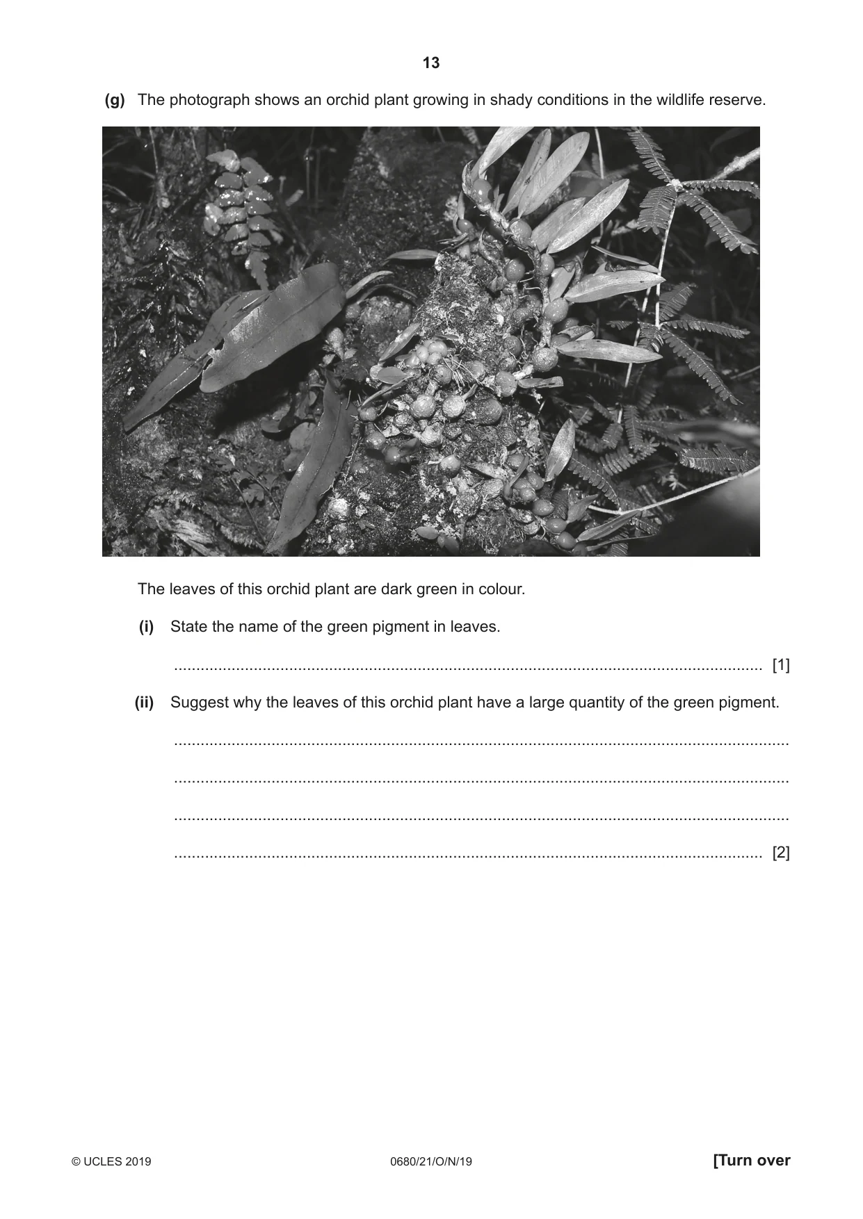 Cambridge IGCSE Environmental Management 0680 2019 Oct/Nov Paper 2 · Variant 1 question paper, page 13 of 24