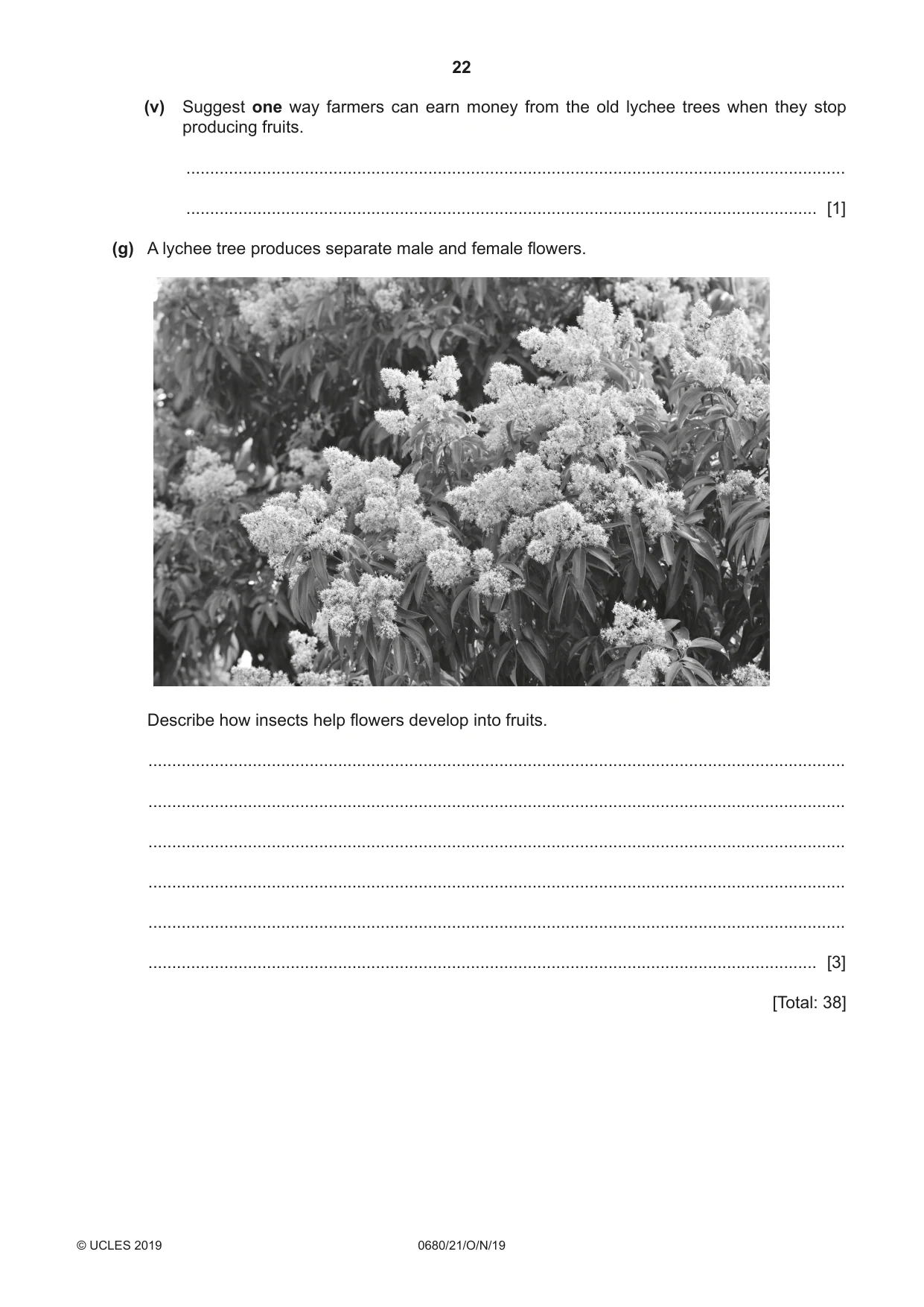 Cambridge IGCSE Environmental Management 0680 2019 Oct/Nov Paper 2 · Variant 1 question paper, page 22 of 24