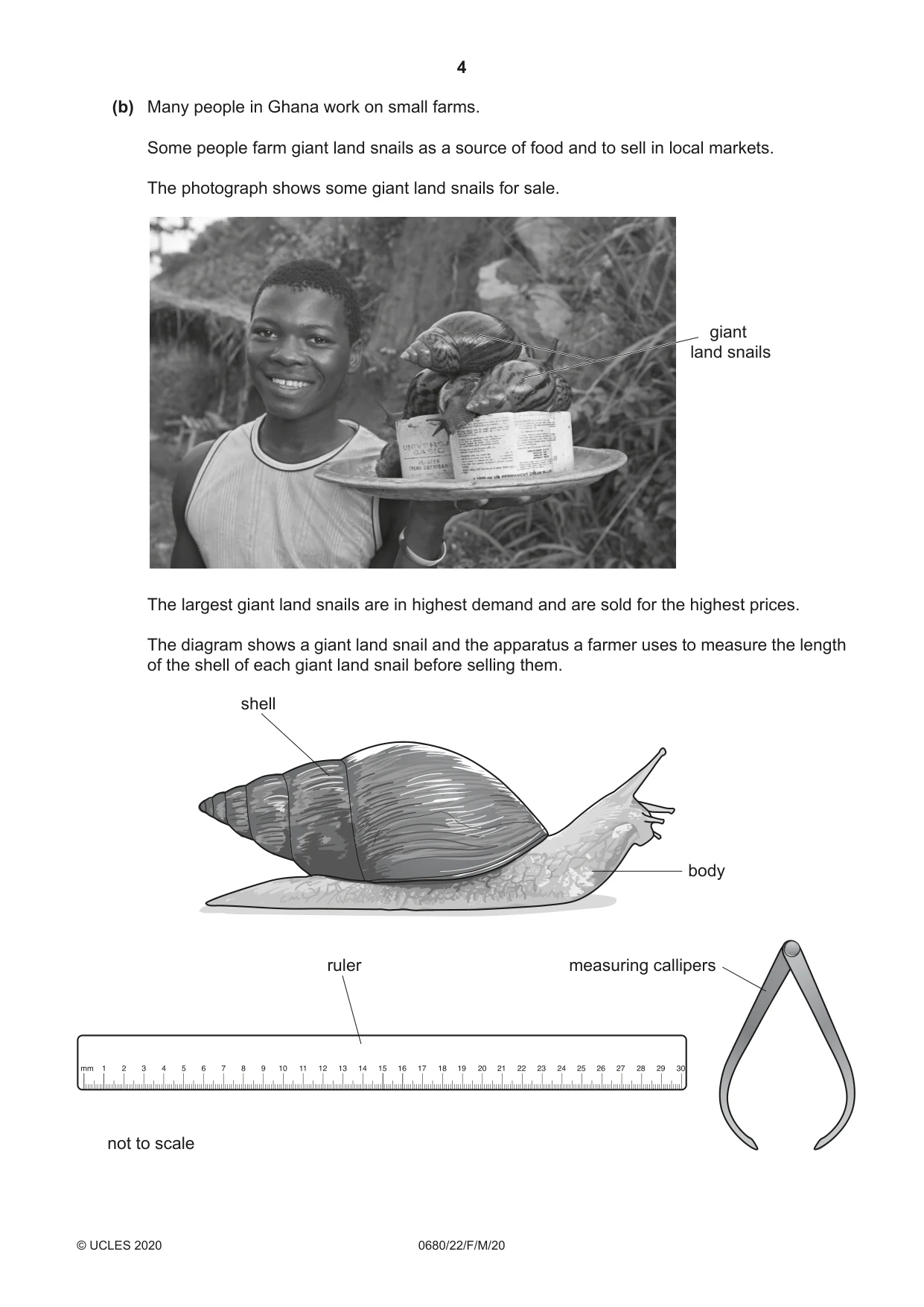Cambridge IGCSE Environmental Management 0680 2020 Feb/March Paper 2 · Variant 2 question paper, page 4 of 20